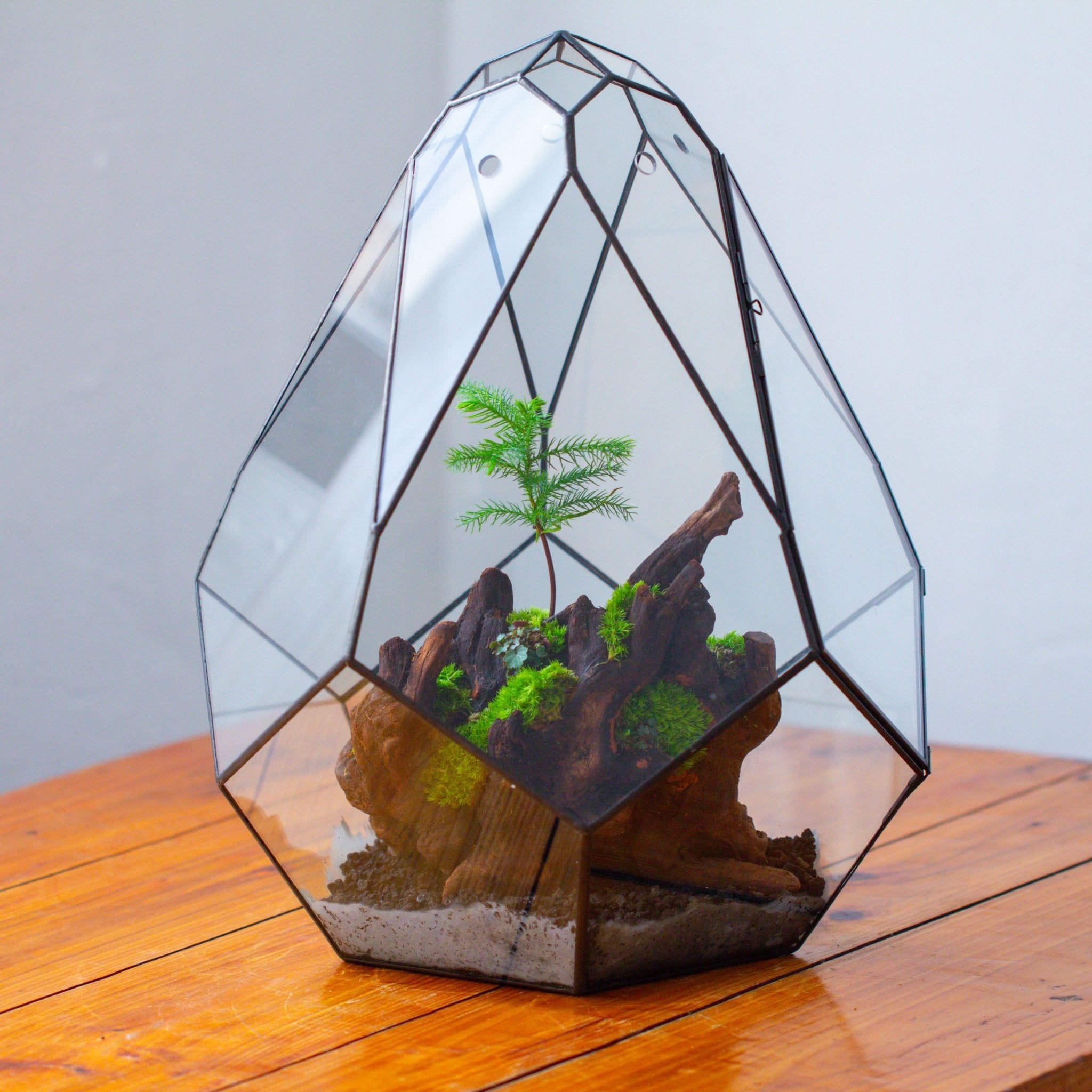 16" Large Teardrop Geometric Terrarium, close，With ventilation holes PG06D3 - NCYPgarden