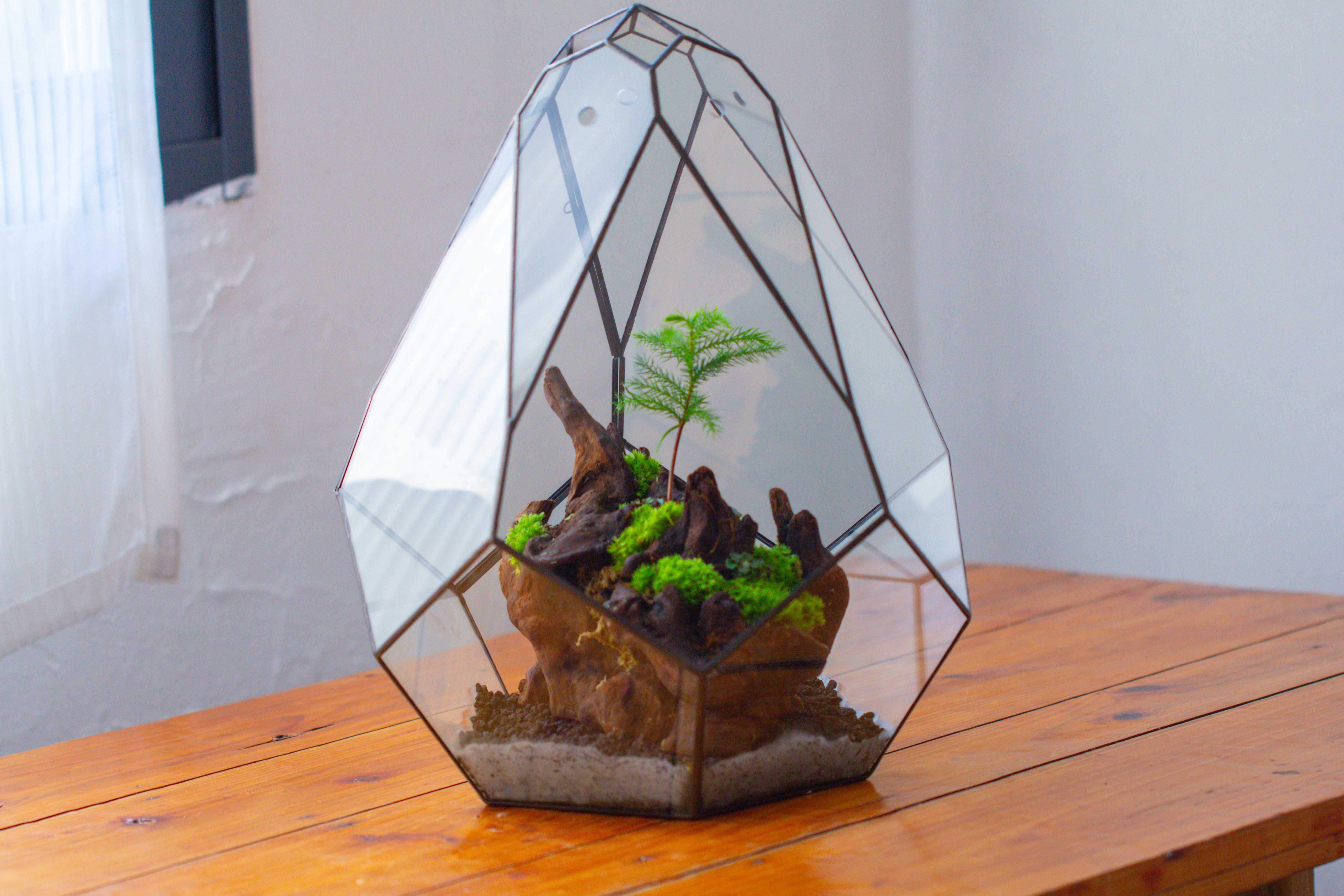 16" Large Teardrop Geometric Terrarium, close - NCYPgarden