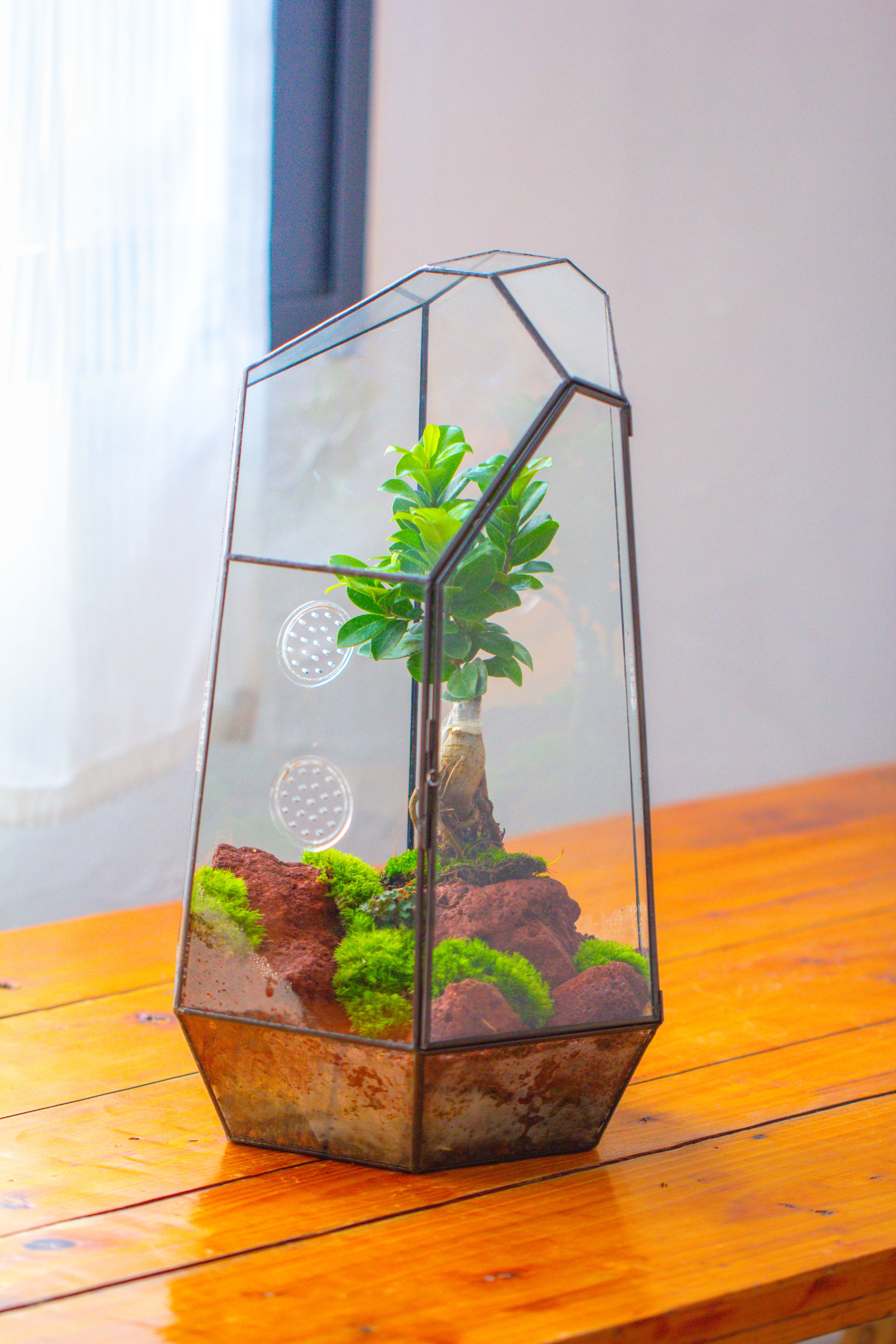 Handmade 41cm / 16" Tall IrregularGlass Geometric Terrarium Box with Vent - NCYPgarden