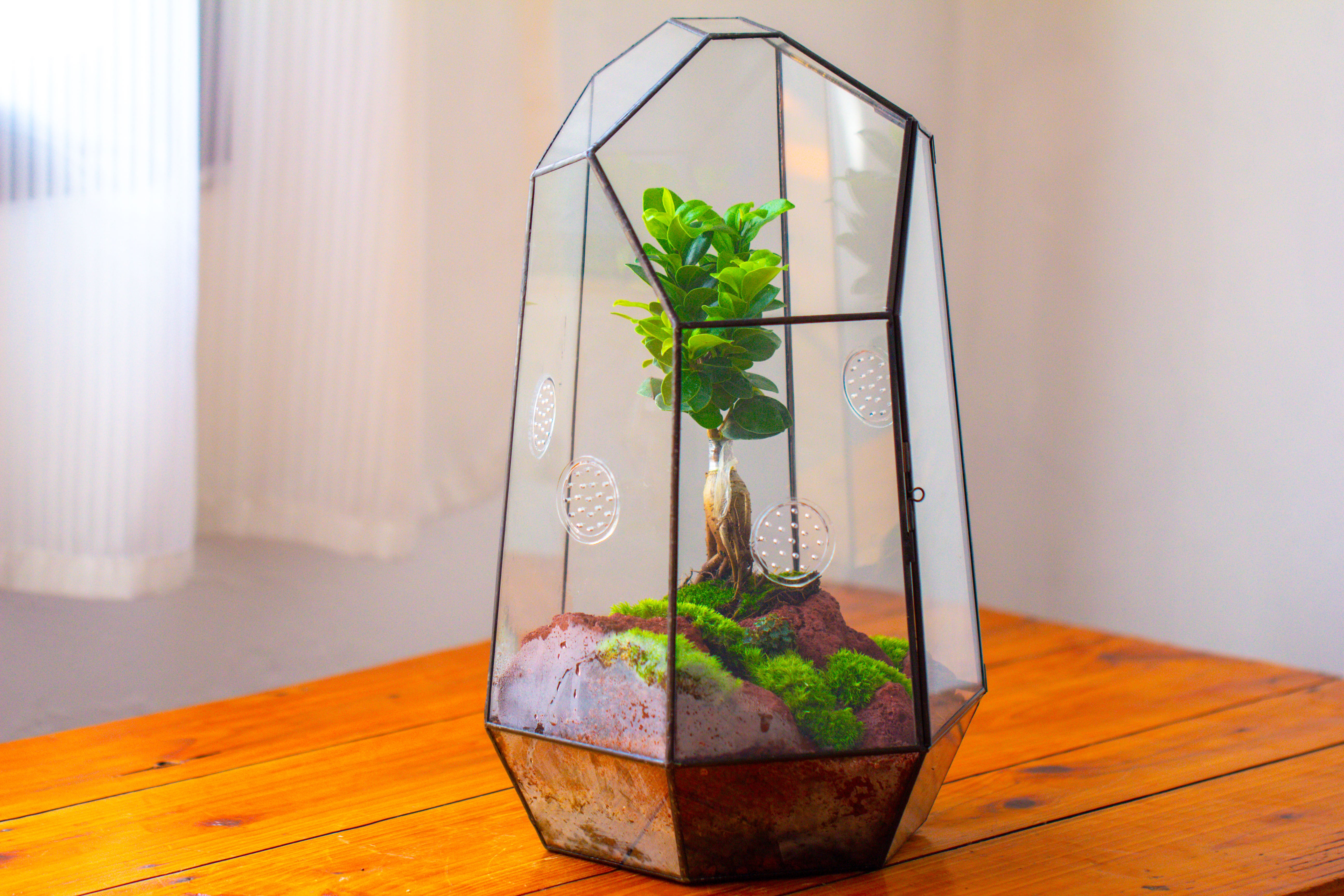 Handmade 41cm / 16" Tall IrregularGlass Geometric Terrarium Box with Vent - NCYPgarden