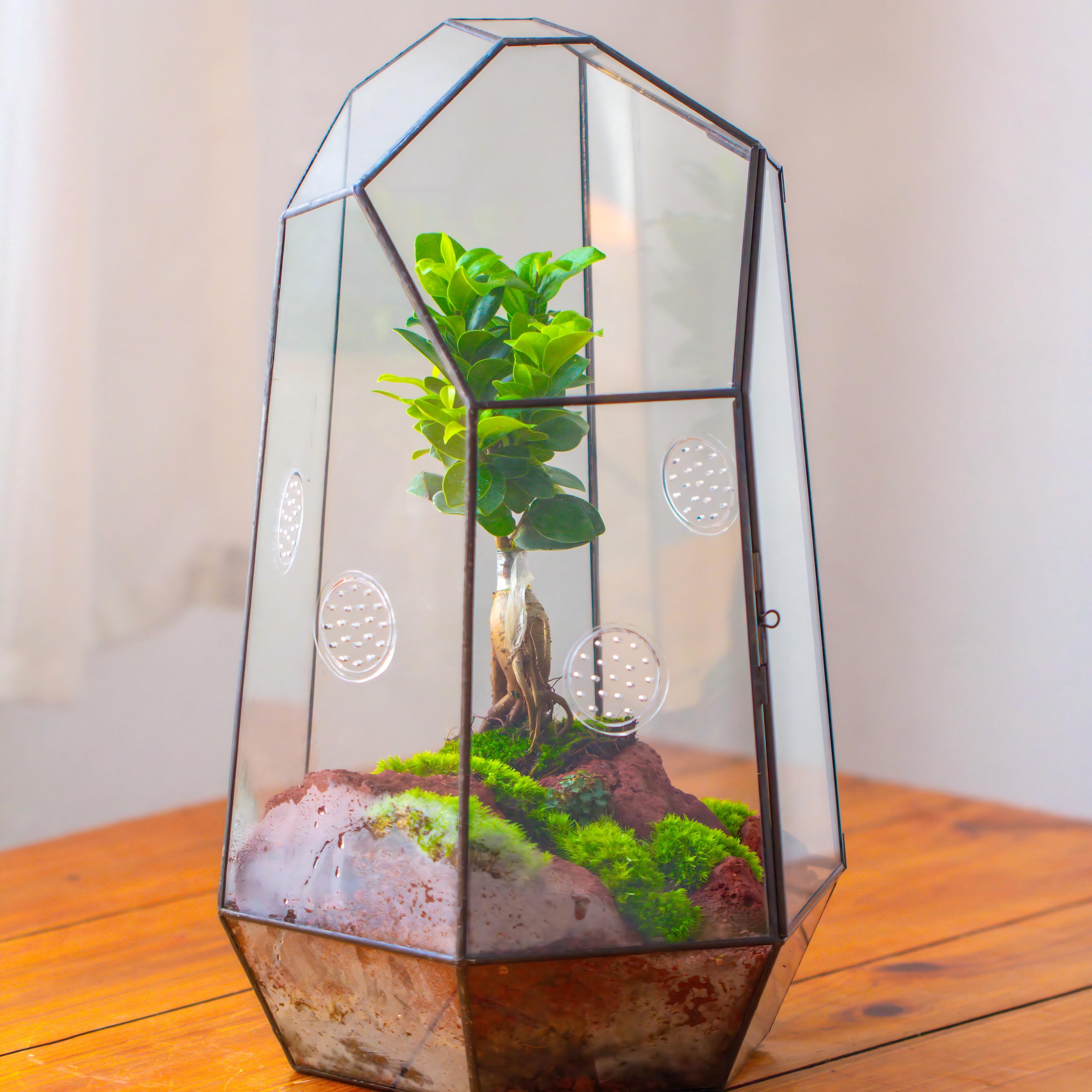Handmade 41cm / 16" Tall IrregularGlass Geometric Terrarium Box with Vent - NCYPgarden