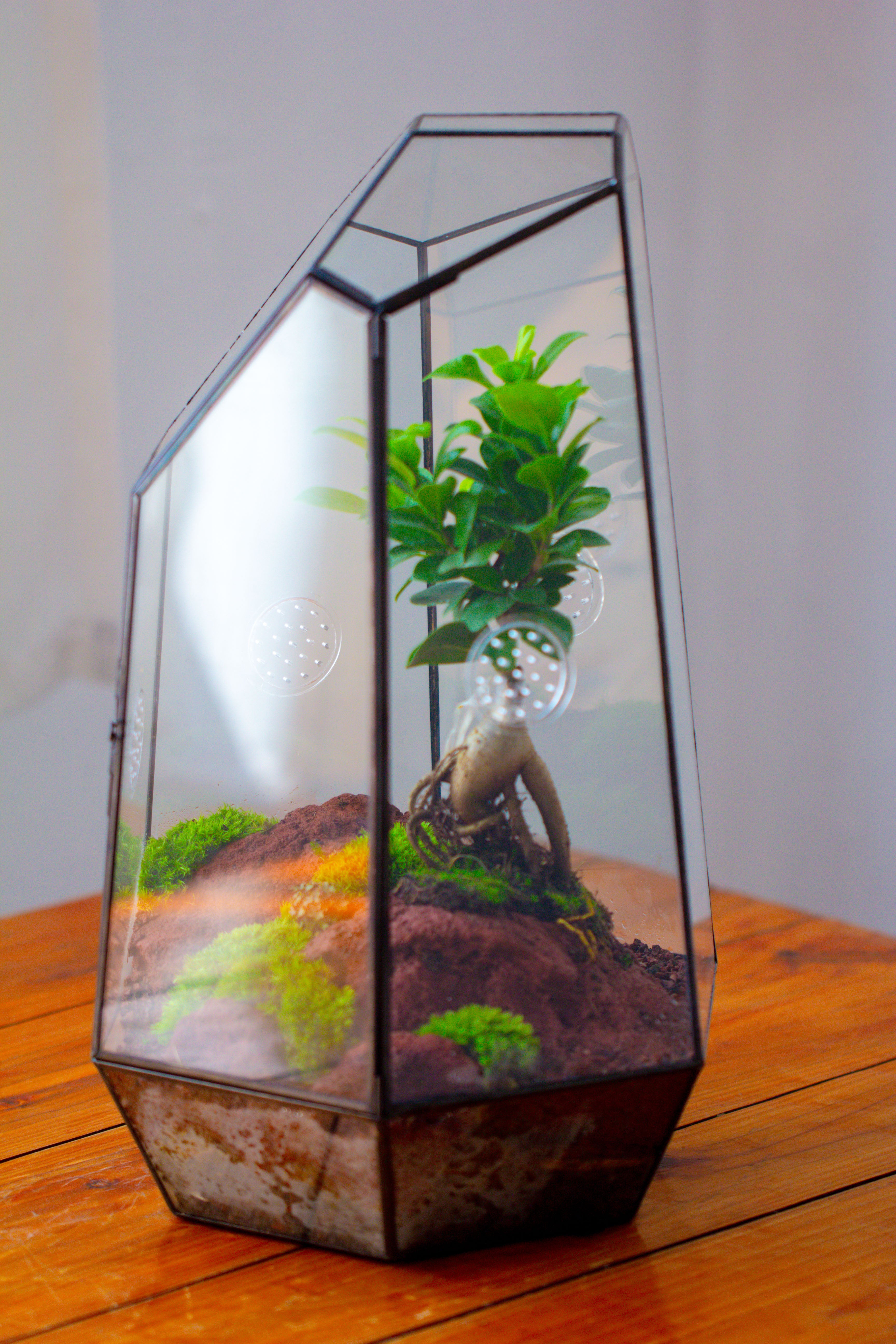 Handmade 41cm / 16" Tall IrregularGlass Geometric Terrarium Box with Vent - NCYPgarden