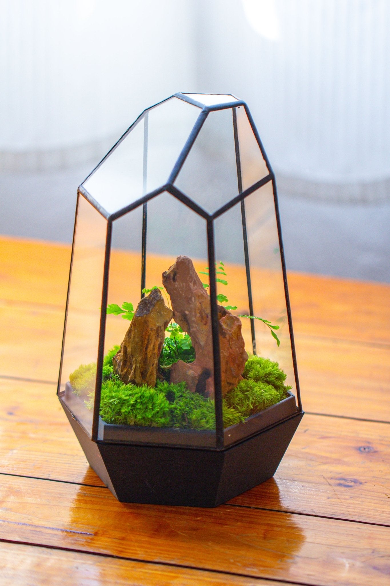 Self - Contained Close Terrarium with Waterproof Base, Geometric Glass Cover for Moss, Sundew and Venus Flytrap PG01J3 - NCYPgarden