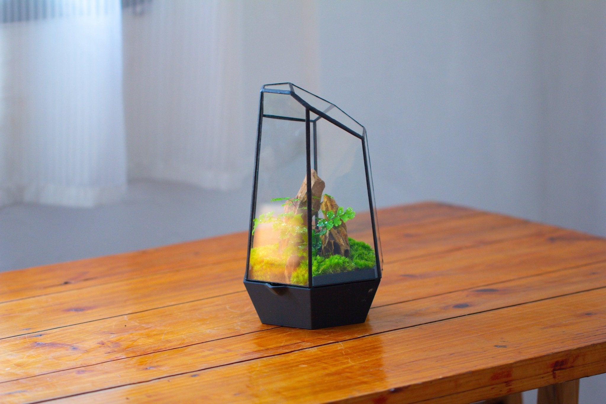 Self - Contained Close Terrarium with Waterproof Base, Geometric Glass Cover for Moss, Sundew and Venus Flytrap PG01J3 - NCYPgarden