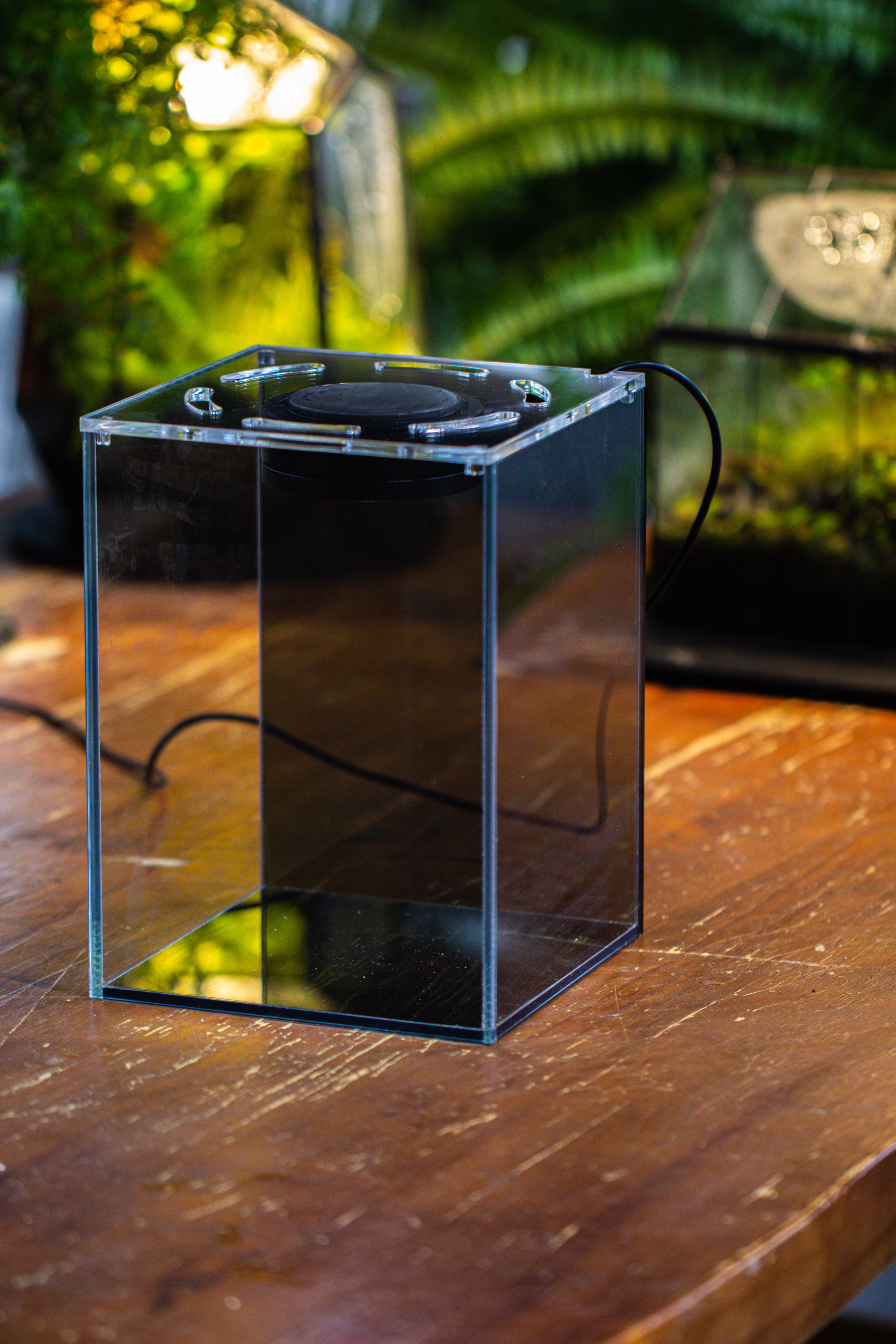 Watertight Glass Terrarium with LED Grow Light, Acrylic Lid for Moss Wall, vertical planting -15x15x20cm / 5.9x5.9x7.8 - NCYPgarden