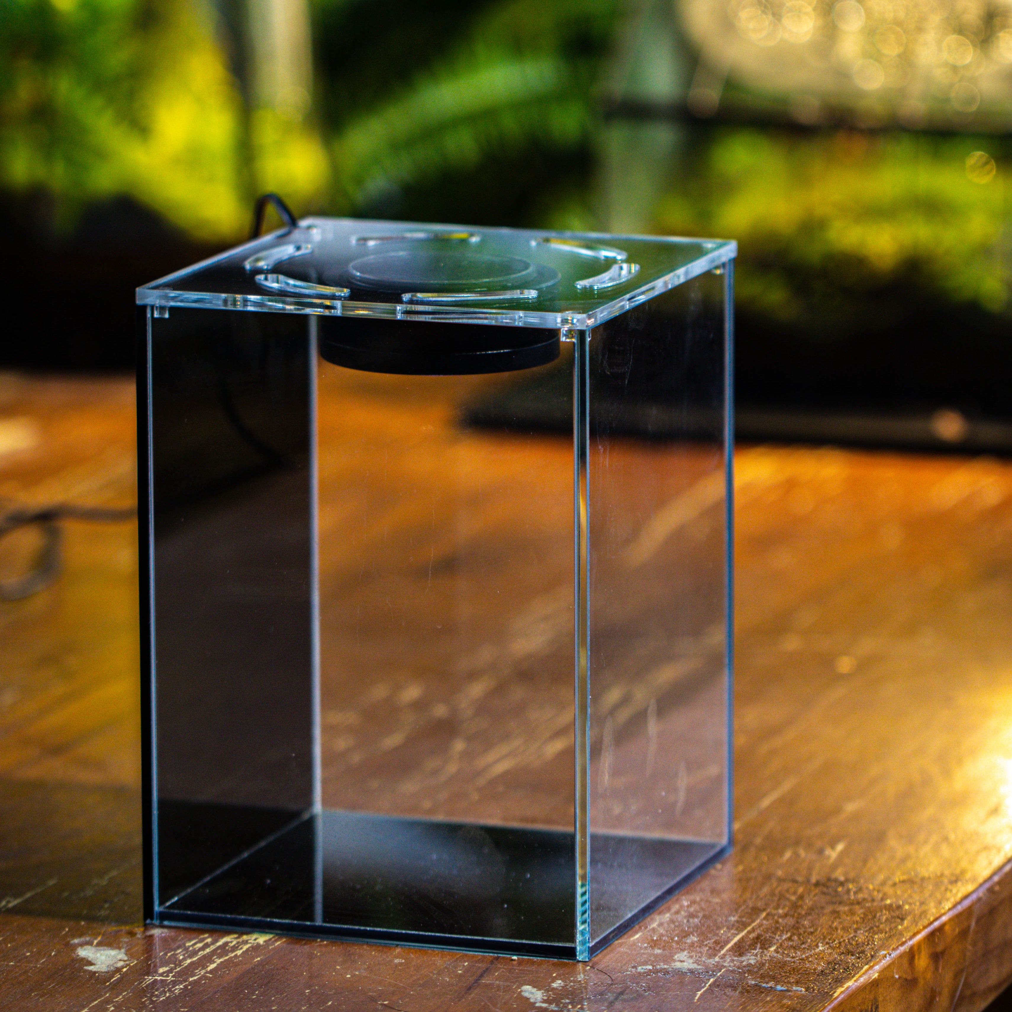 Watertight Glass Terrarium with LED Grow Light, Acrylic Lid for Moss Wall, vertical planting -15x15x20cm / 5.9x5.9x7.8 - NCYPgarden