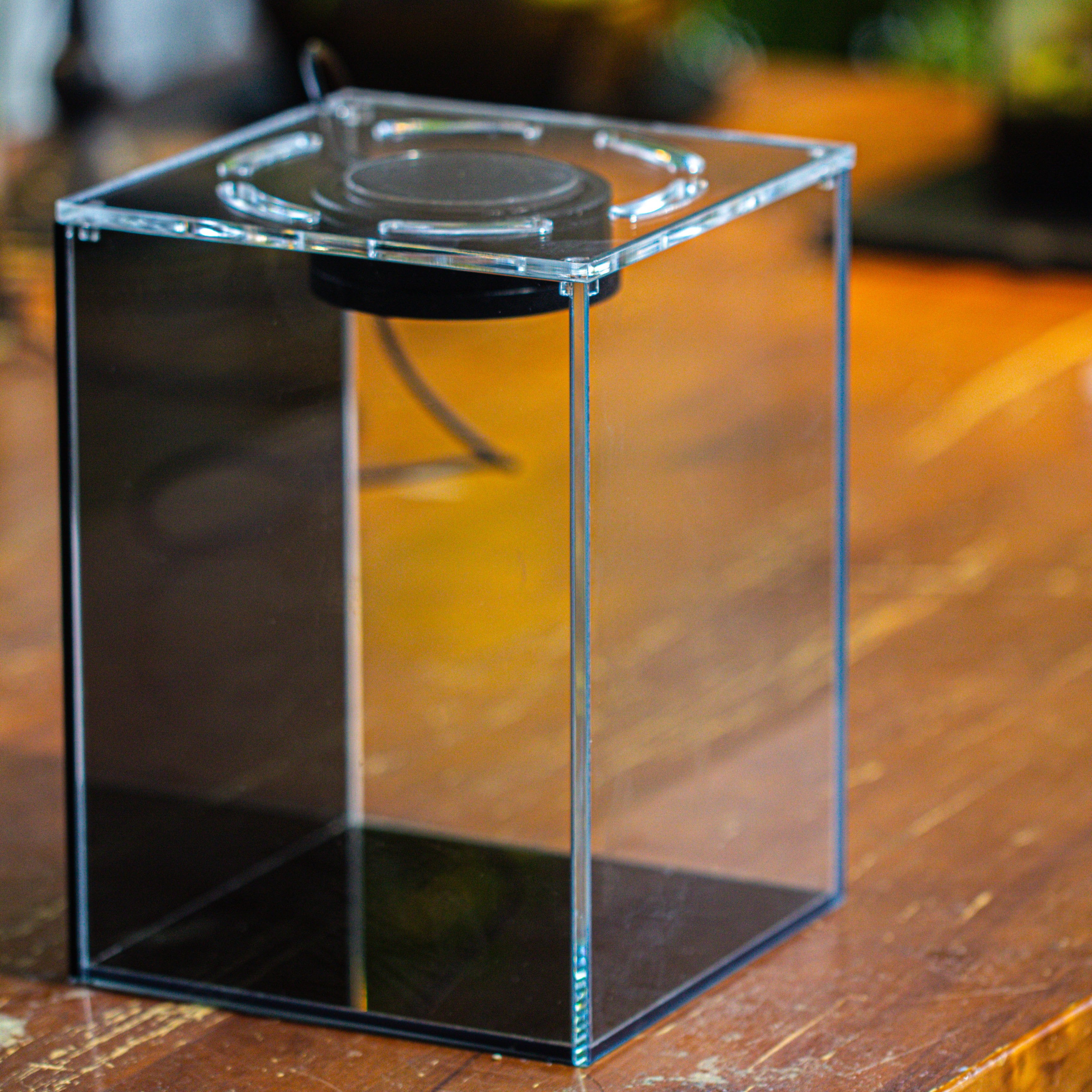 Watertight Glass Terrarium with LED Grow Light, Acrylic Lid for Moss Wall, vertical planting -15x15x20cm / 5.9x5.9x7.8 - NCYPgarden