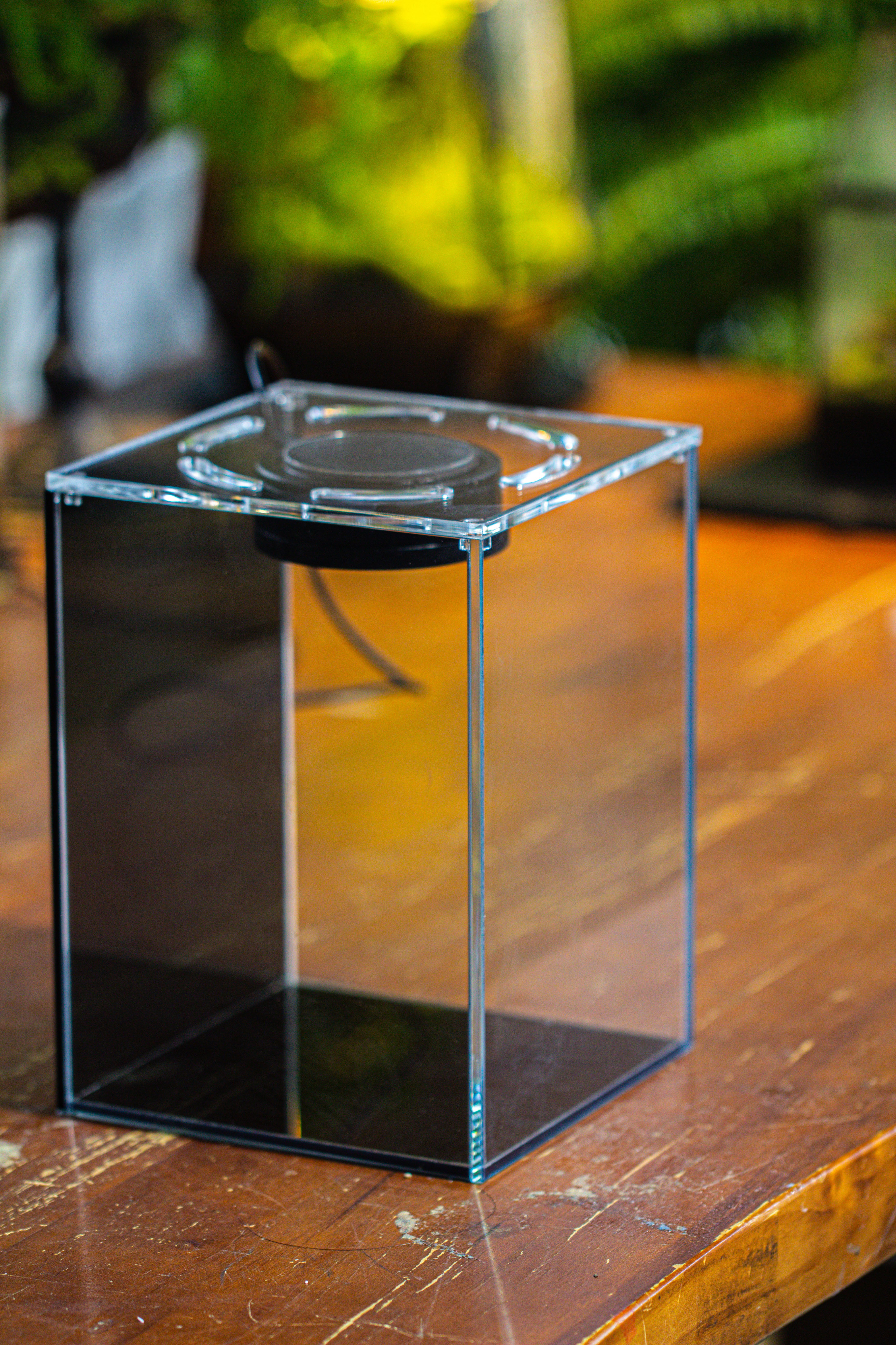 Watertight Glass Terrarium with LED Grow Light, Acrylic Lid for Moss Wall, vertical planting -15x15x20cm / 5.9x5.9x7.8 - NCYPgarden