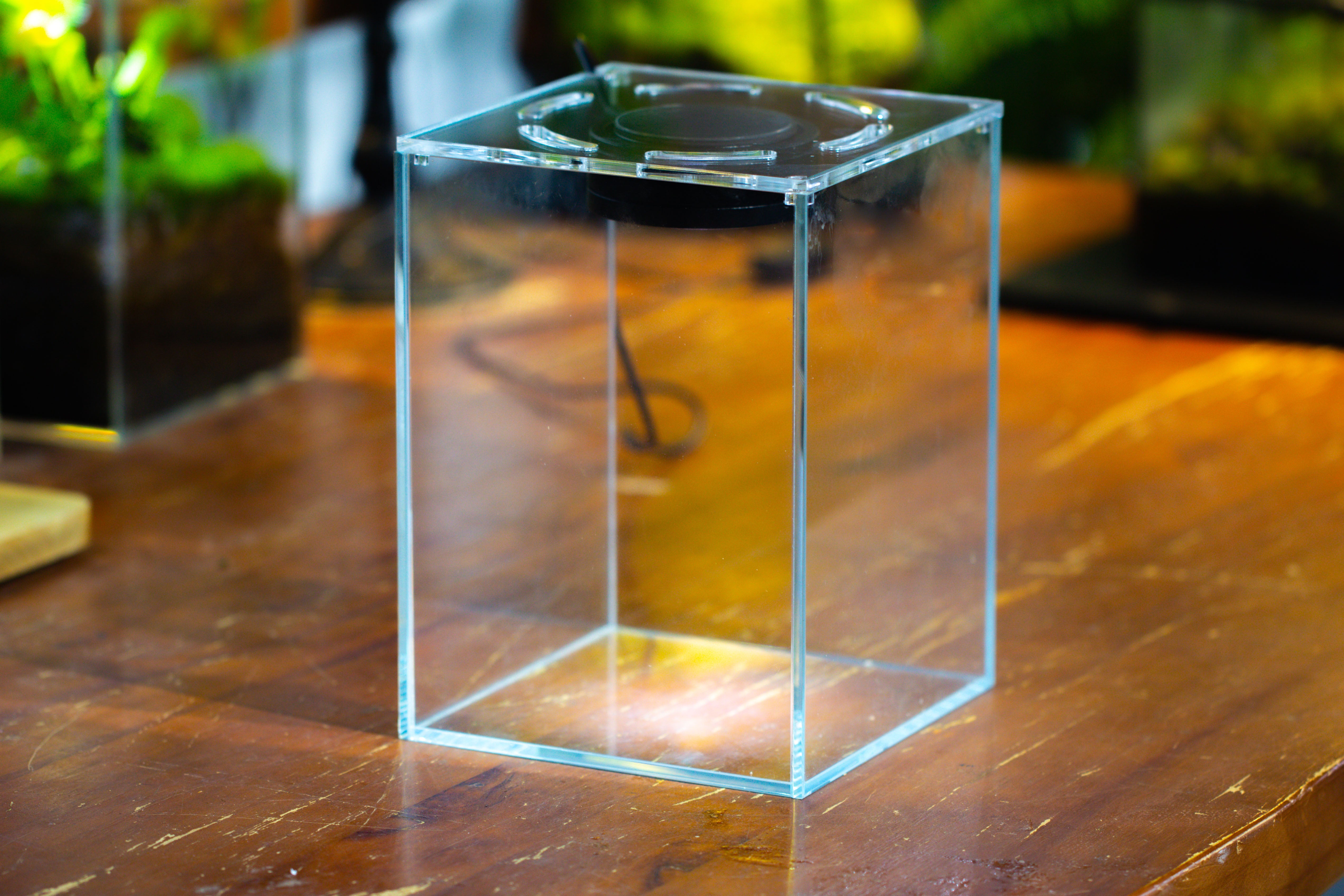 Watertight Glass Tank with LED Grow Light, Acrylic Lid, DIY Terrarium Kit- 25x25x30cm / 9.8x9.8x11.8'' - NCYPgarden