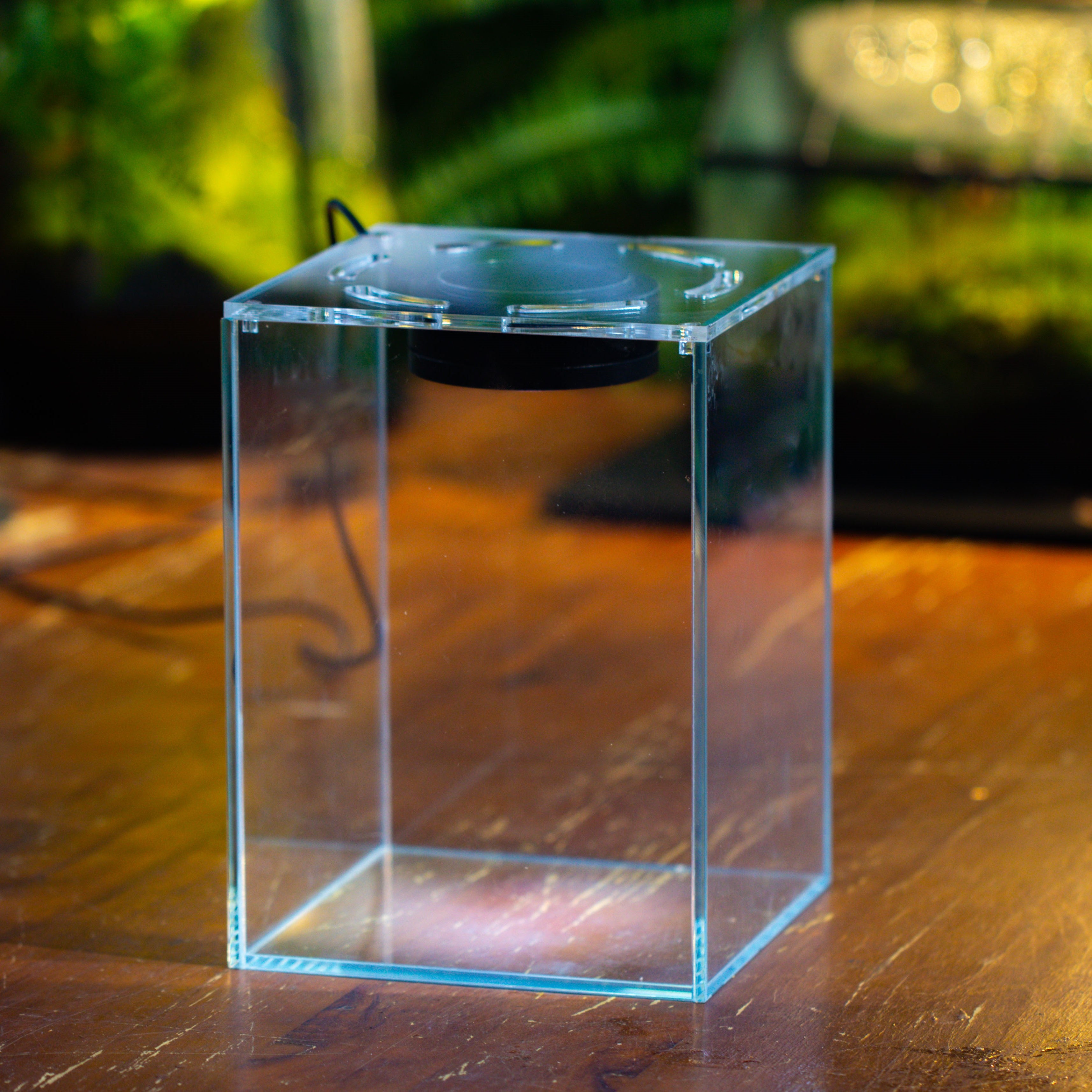 Watertight Glass Tank with LED Grow Light, Acrylic Lid, DIY Terrarium Kit- 25x25x30cm / 9.8x9.8x11.8'' - NCYPgarden