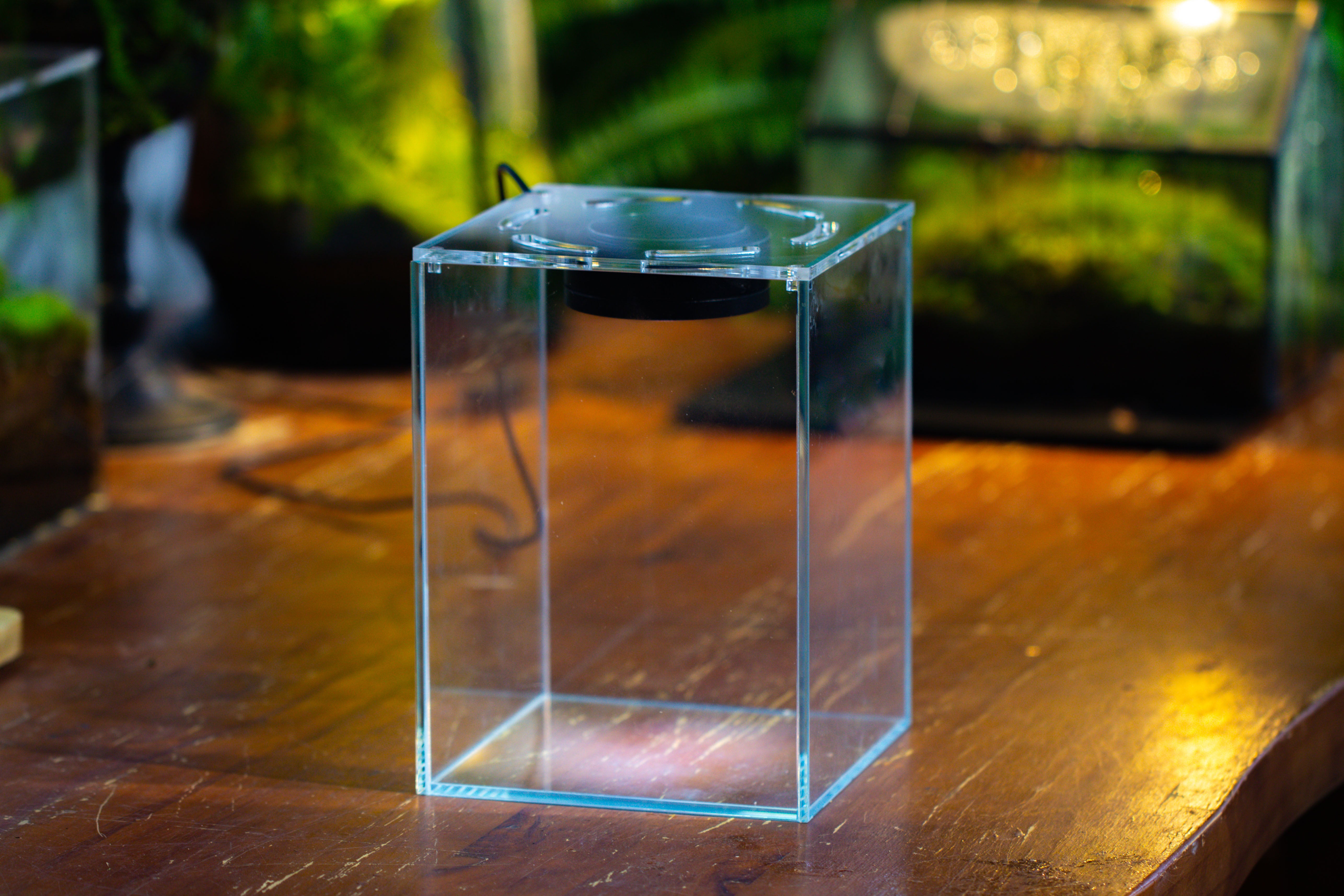 Watertight Glass Tank with LED Grow Light, Acrylic Lid, DIY Terrarium Kit- 25x25x30cm / 9.8x9.8x11.8'' - NCYPgarden
