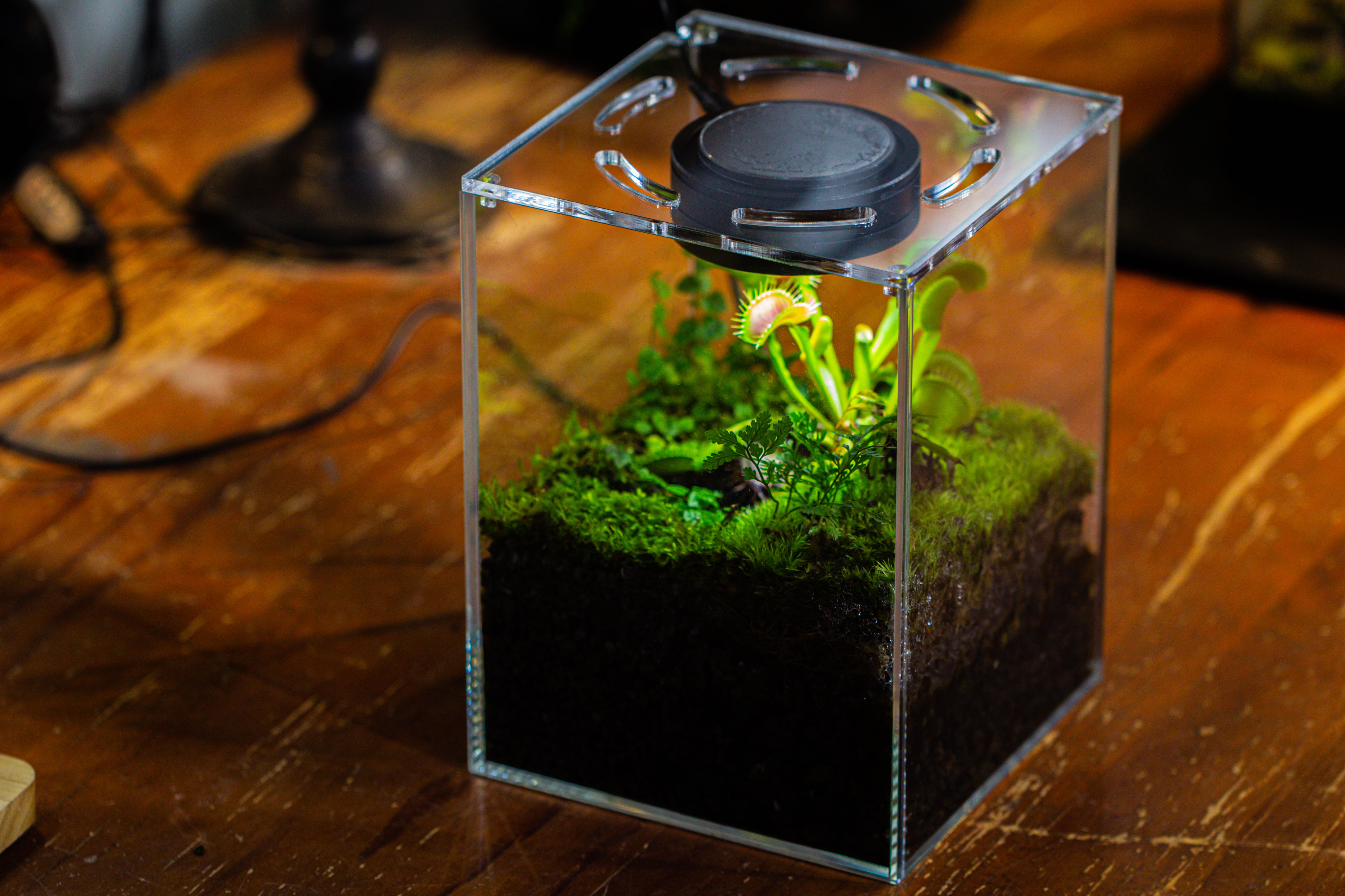 Watertight Glass Tank with LED Grow Light, Acrylic Lid, DIY Terrarium Kit- 25x25x30cm / 9.8x9.8x11.8'' - NCYPgarden