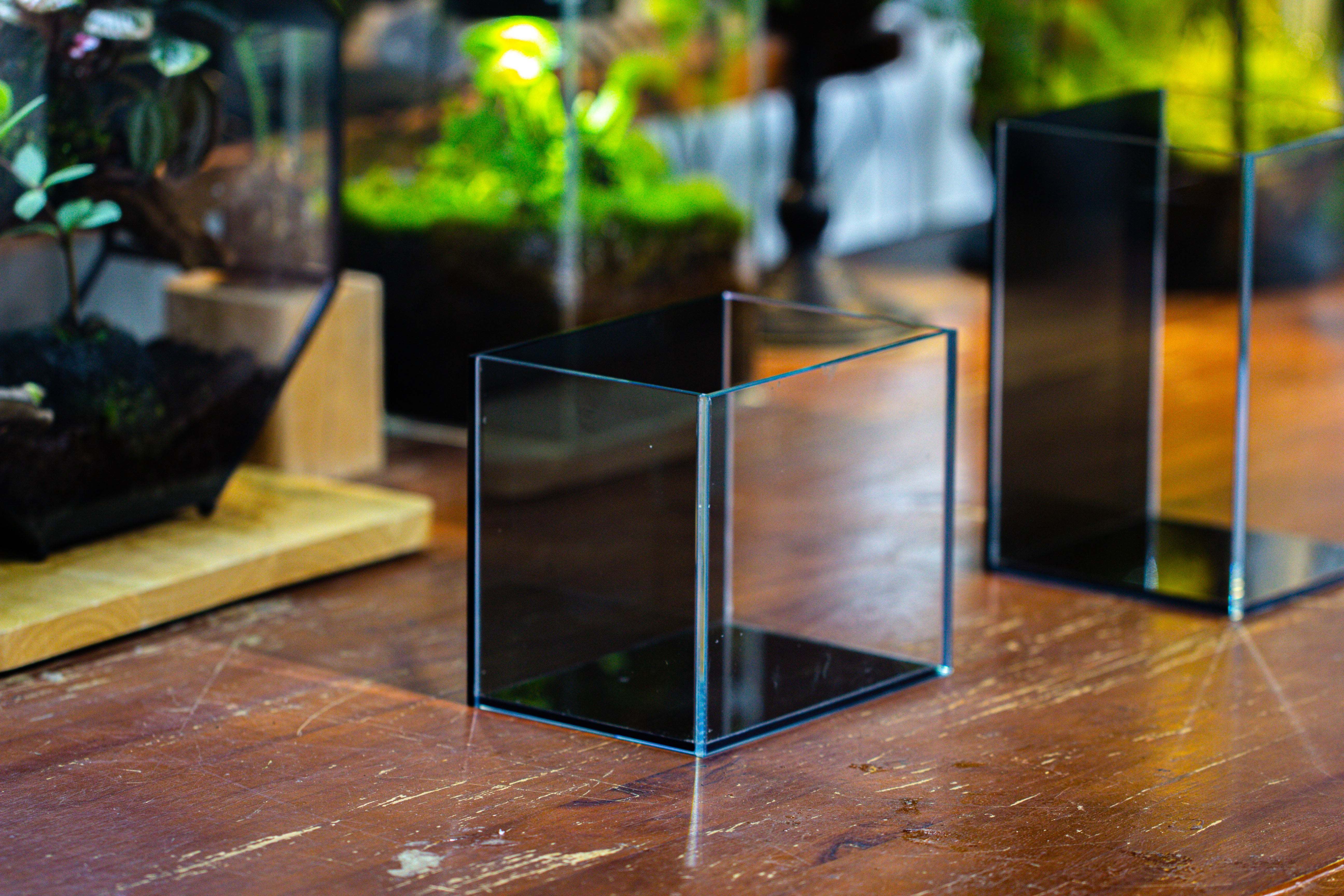 Watertight Glass Terrarium with LED Grow Light, Acrylic Lid for Moss Wall, vertical planting -15x11x13cm / 5.9x4.3x5.1'' - NCYPgarden