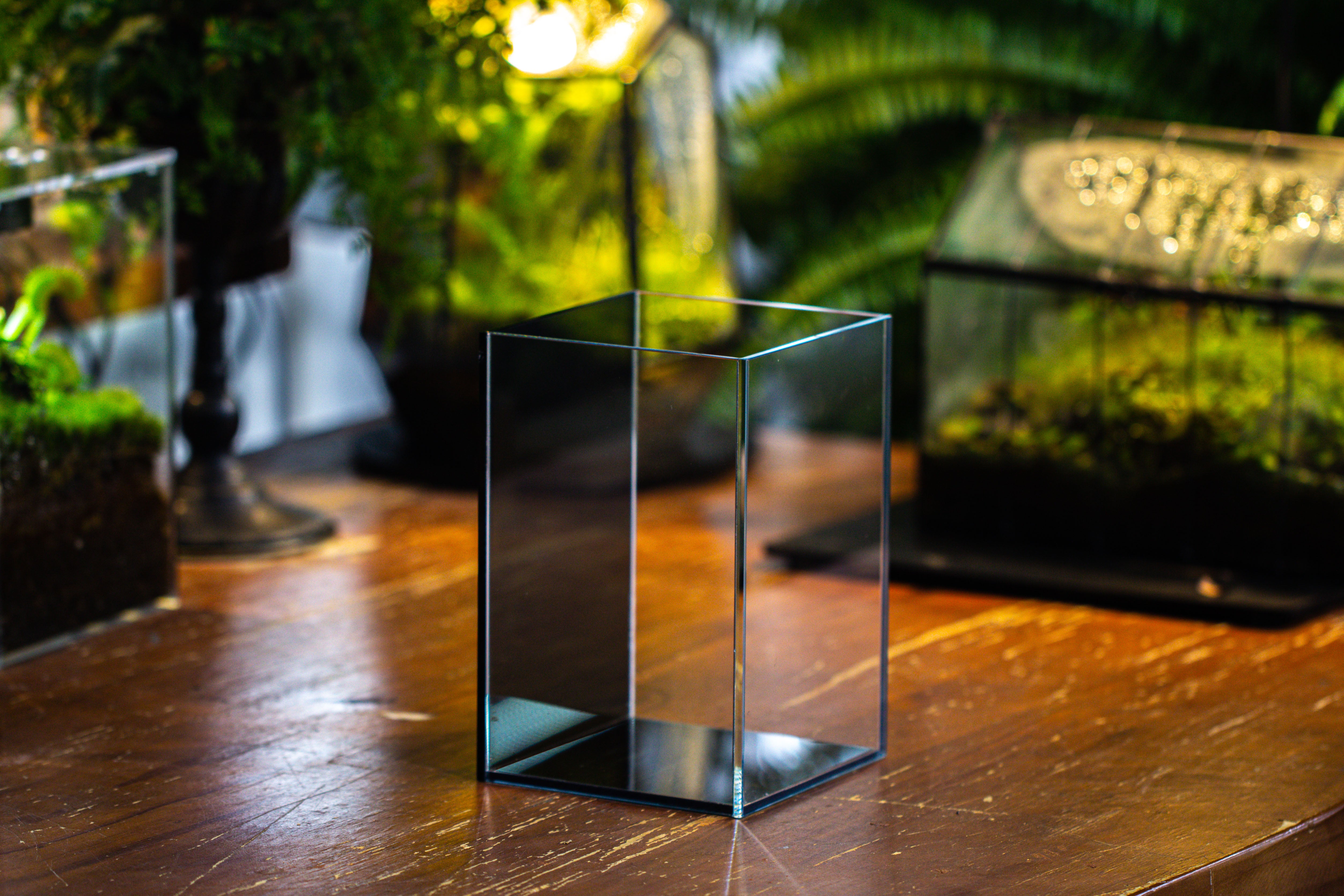 Watertight Glass Terrarium with LED Grow Light, Acrylic Lid for Moss Wall, vertical planting -15x15x20cm / 5.9x5.9x7.8 - NCYPgarden