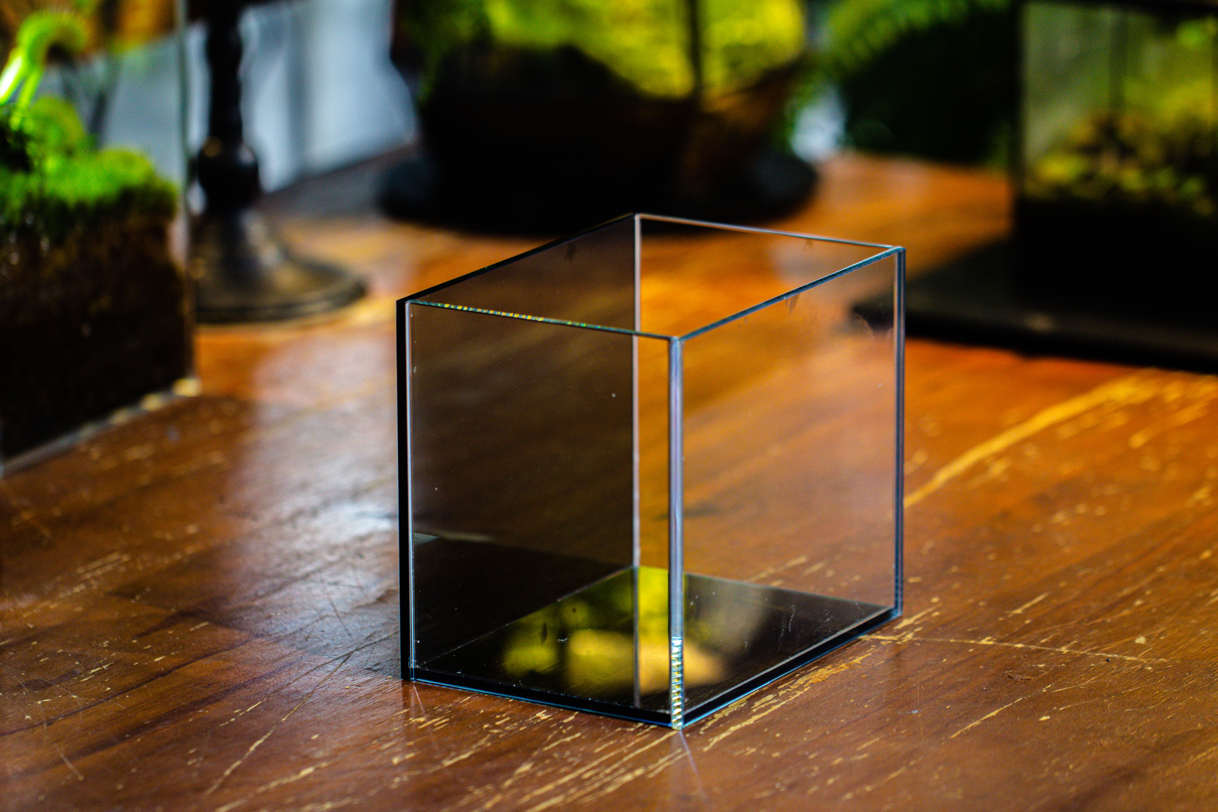 Watertight Glass Terrarium with LED Grow Light, Acrylic Lid for Moss Wall, vertical planting -15x11x13cm / 5.9x4.3x5.1'' - NCYPgarden