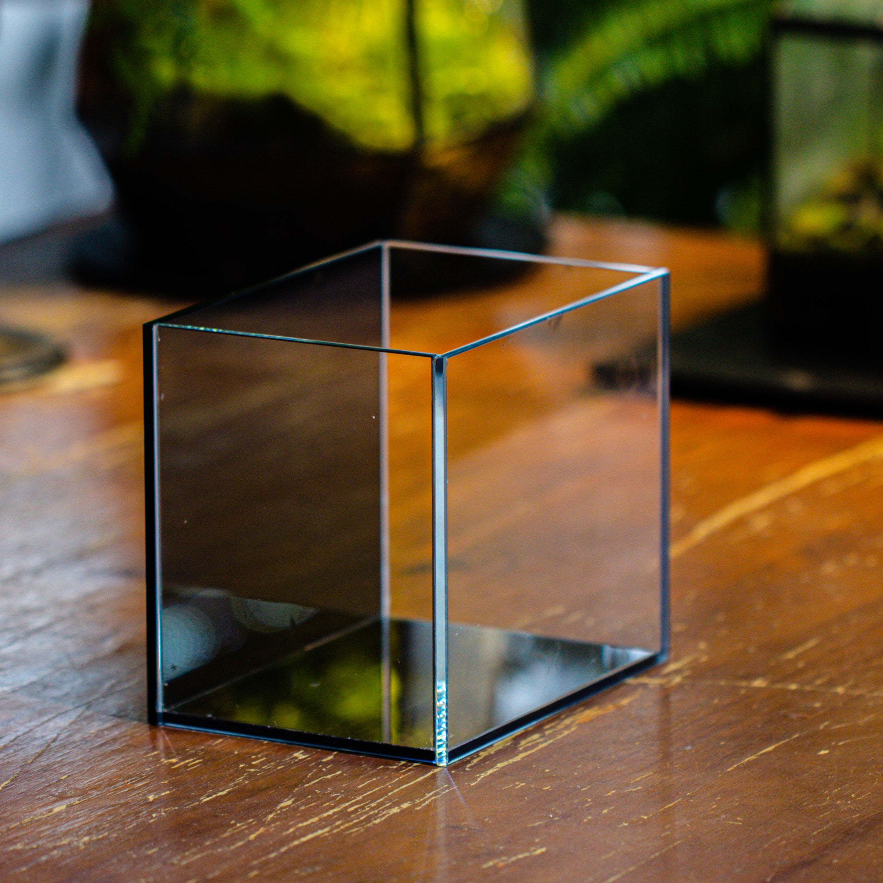 Watertight Glass Terrarium with LED Grow Light, Acrylic Lid for Moss Wall, vertical planting-15x11x13cm / 5.9x4.3x5.1'' - NCYPgarden