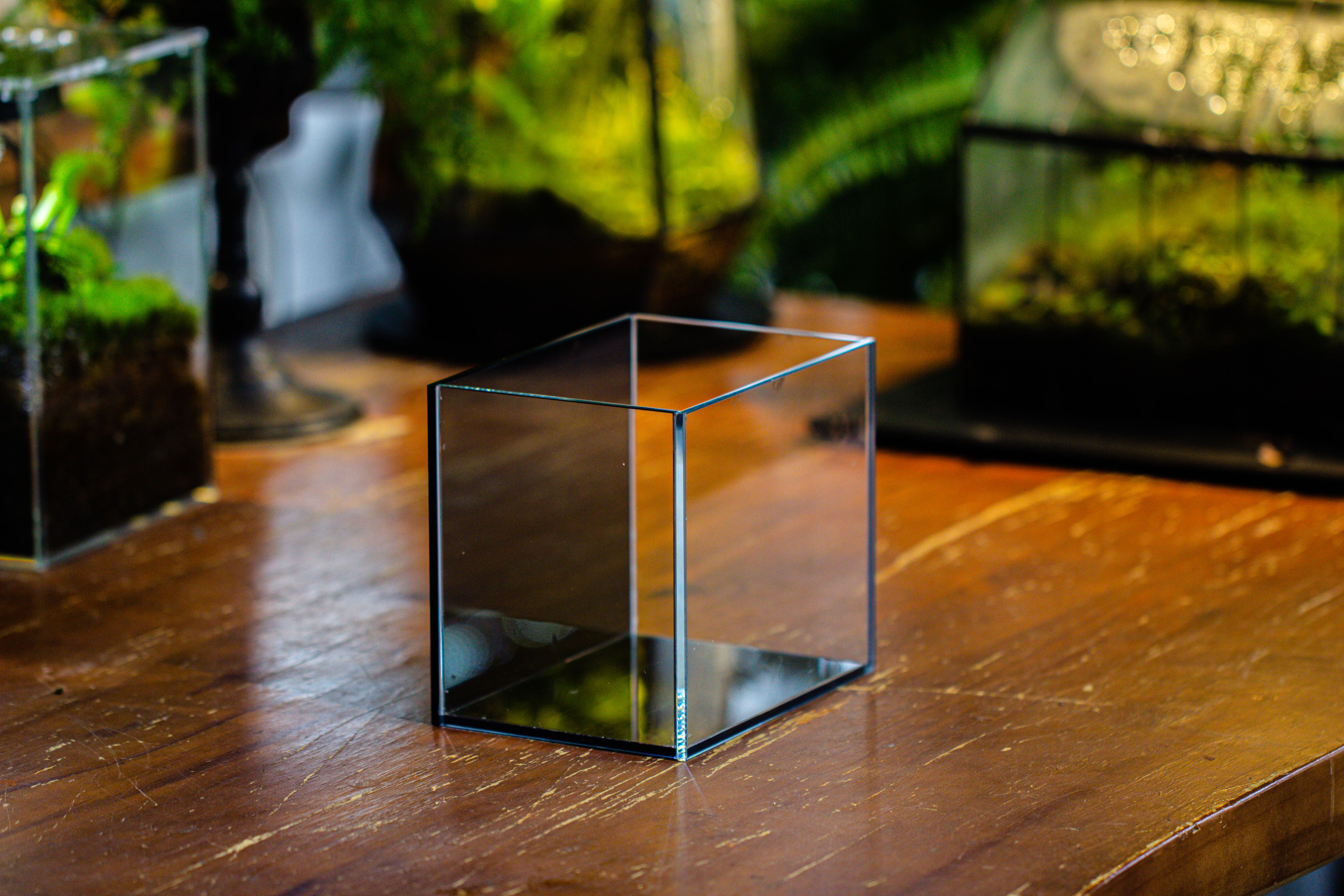 Watertight Glass Terrarium with LED Grow Light, Acrylic Lid for Moss Wall, vertical planting -15x11x13cm / 5.9x4.3x5.1'' - NCYPgarden