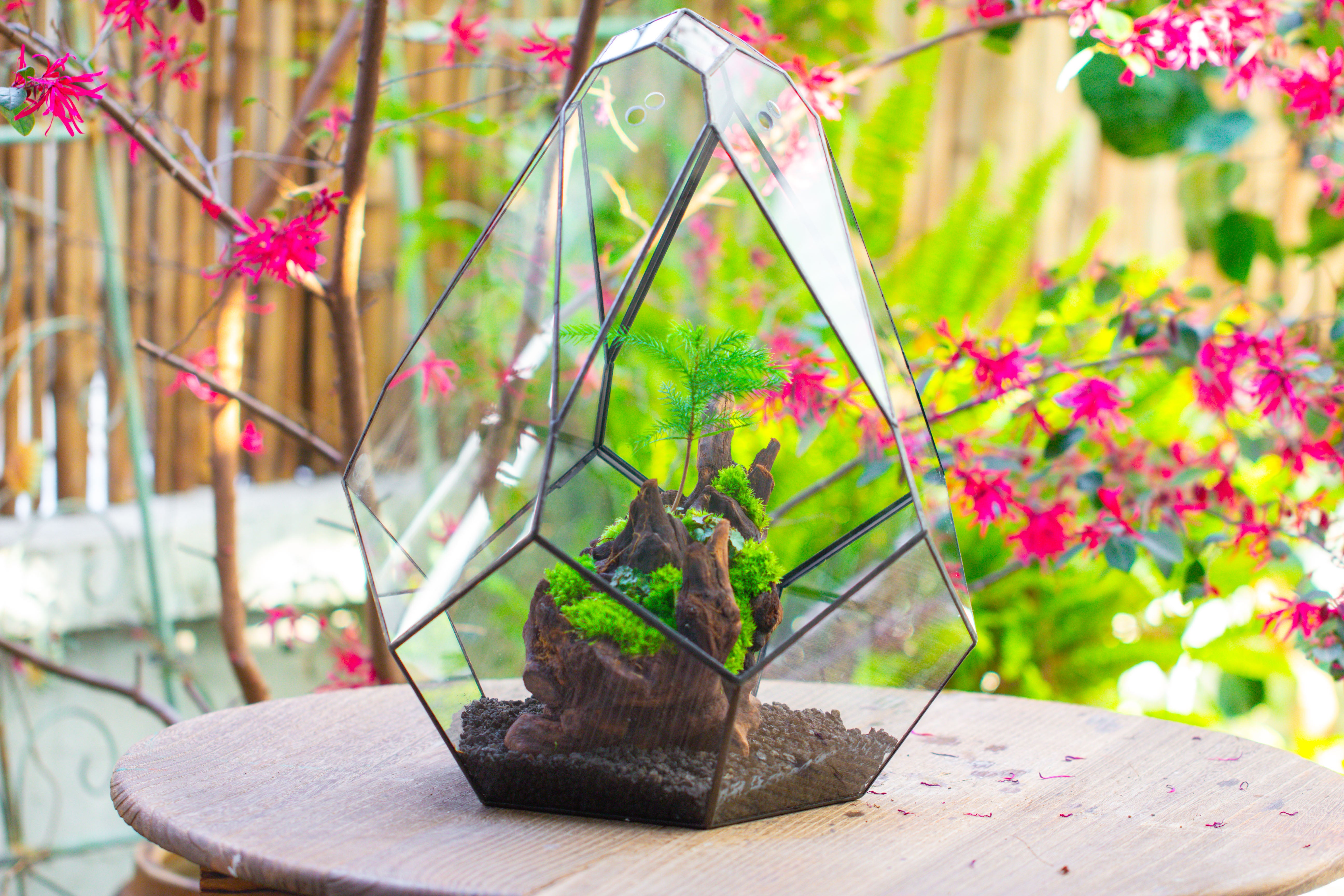 16" Large Teardrop Geometric Terrarium, close - NCYPgarden