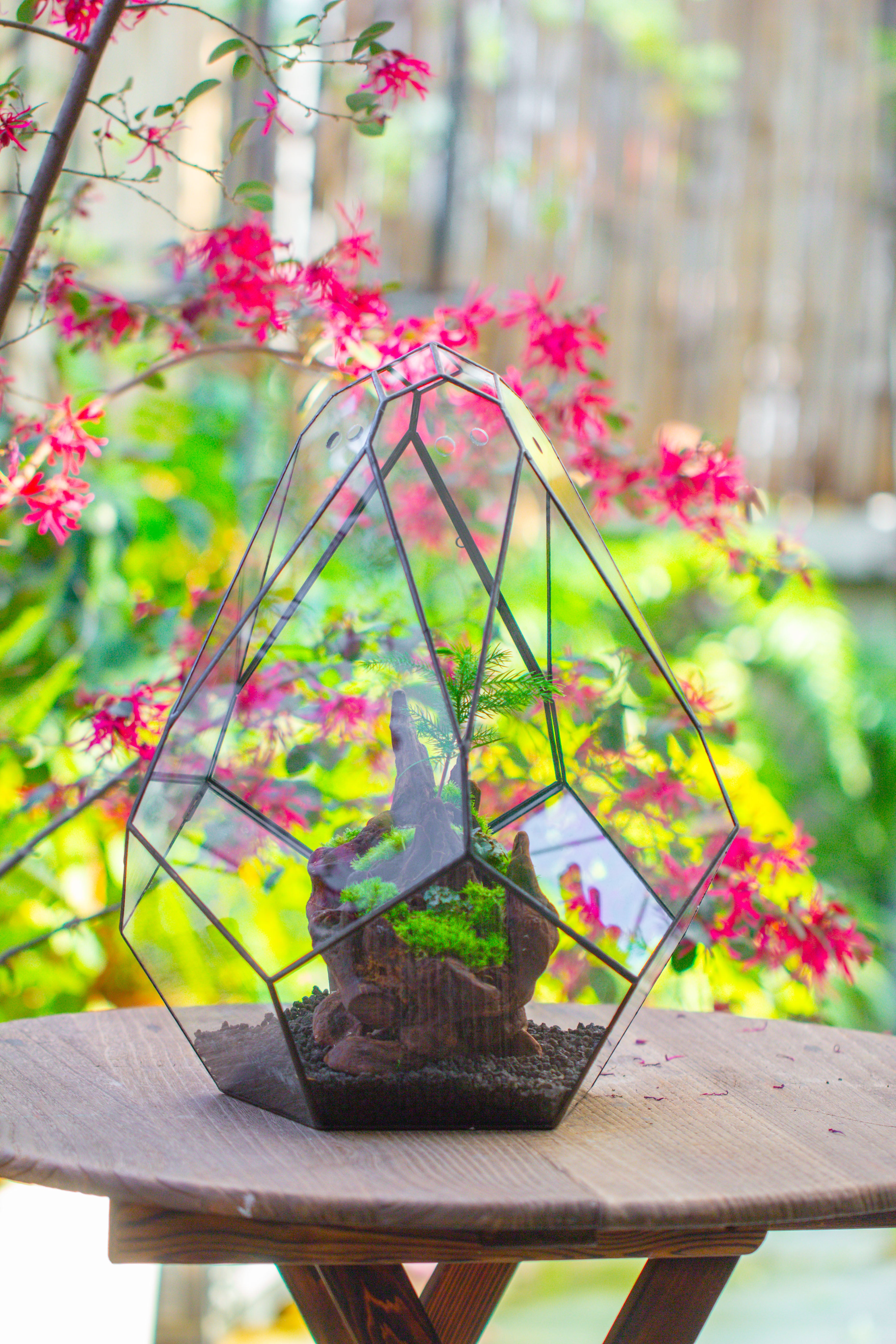 16" Large Teardrop Geometric Terrarium, close - NCYPgarden