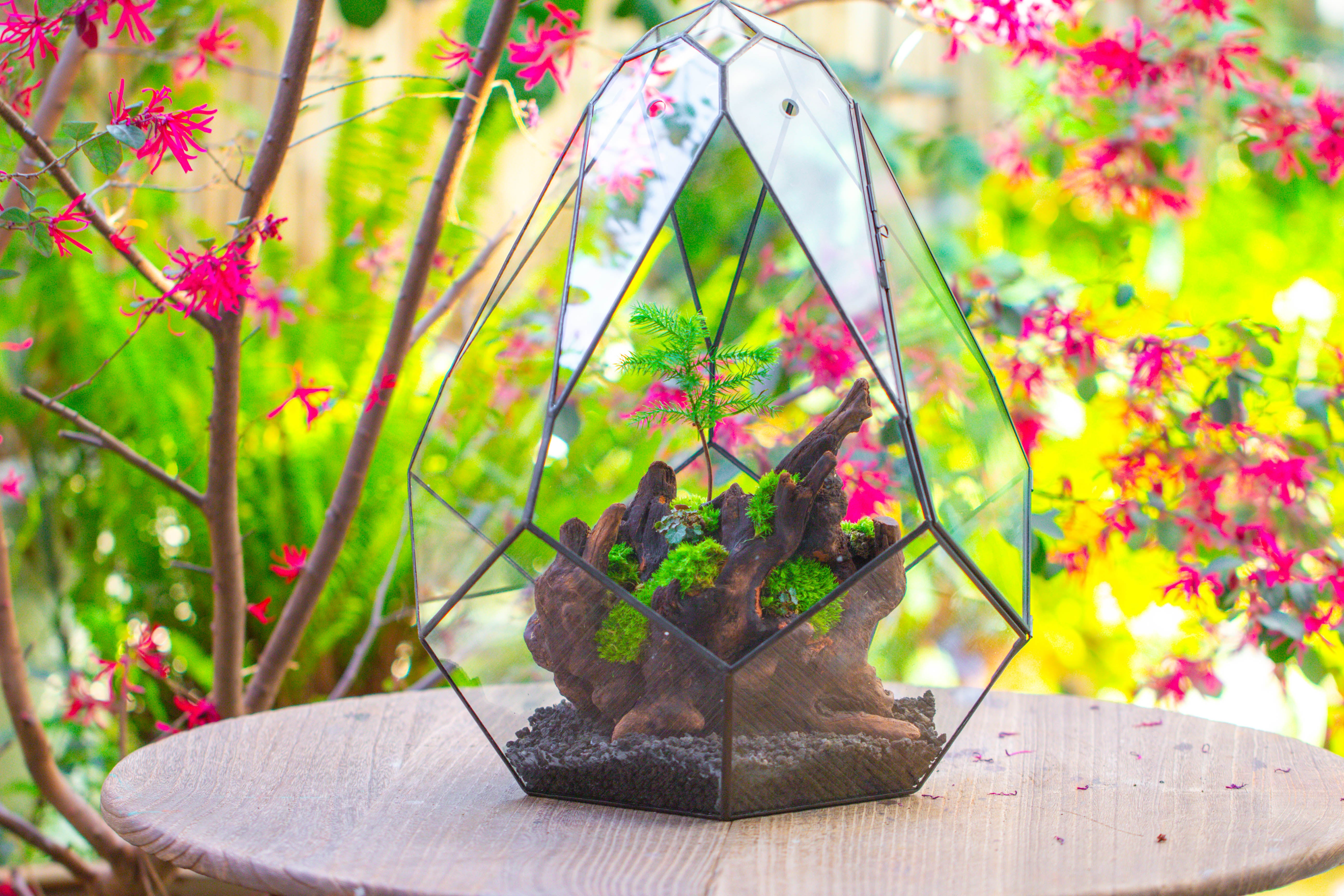 16" Large Teardrop Geometric Terrarium, close - NCYPgarden