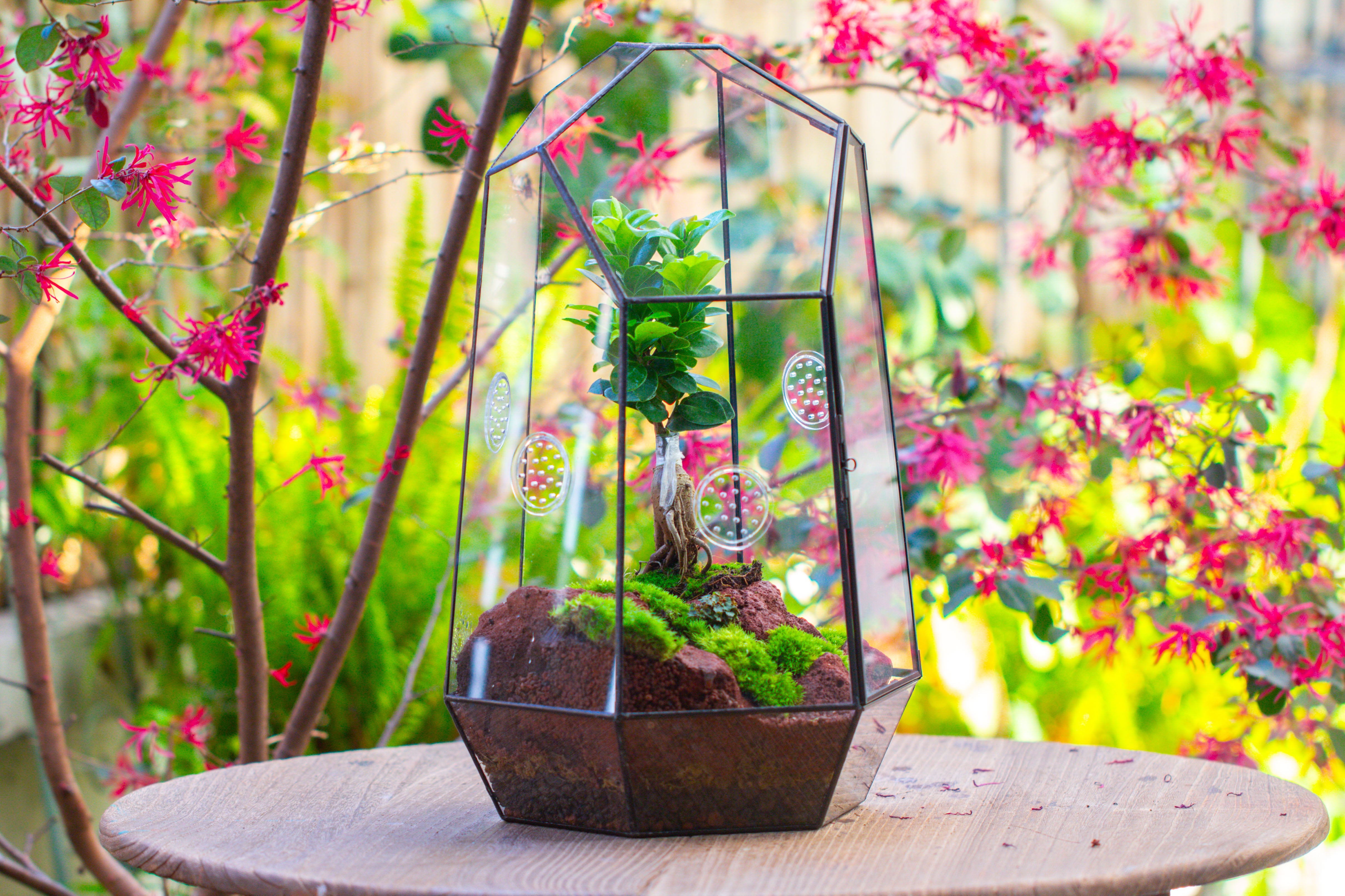 Handmade 41cm / 16" Tall IrregularGlass Geometric Terrarium Box with Vent - NCYPgarden