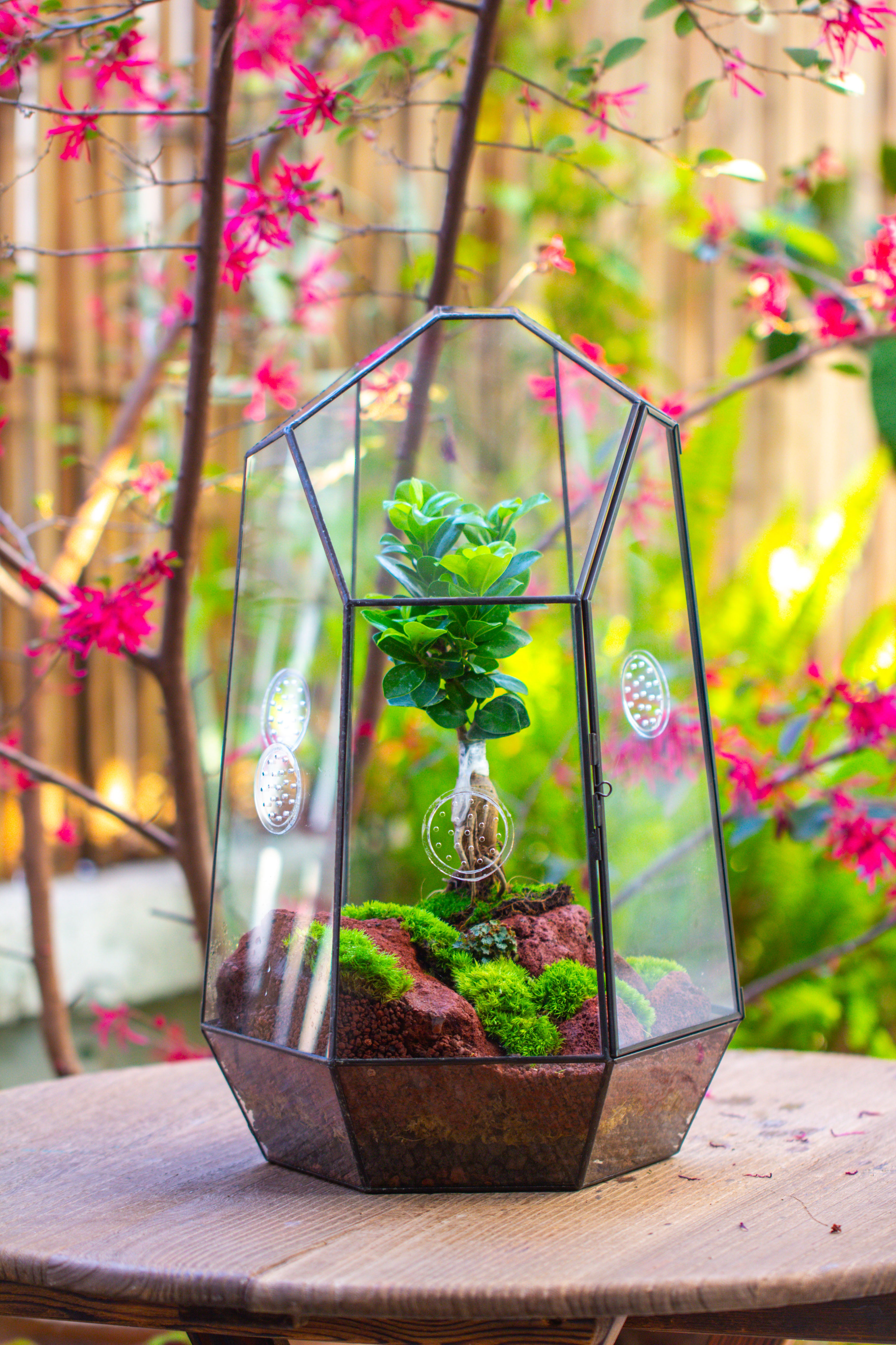 Handmade 41cm / 16" Tall IrregularGlass Geometric Terrarium Box with Vent - NCYPgarden