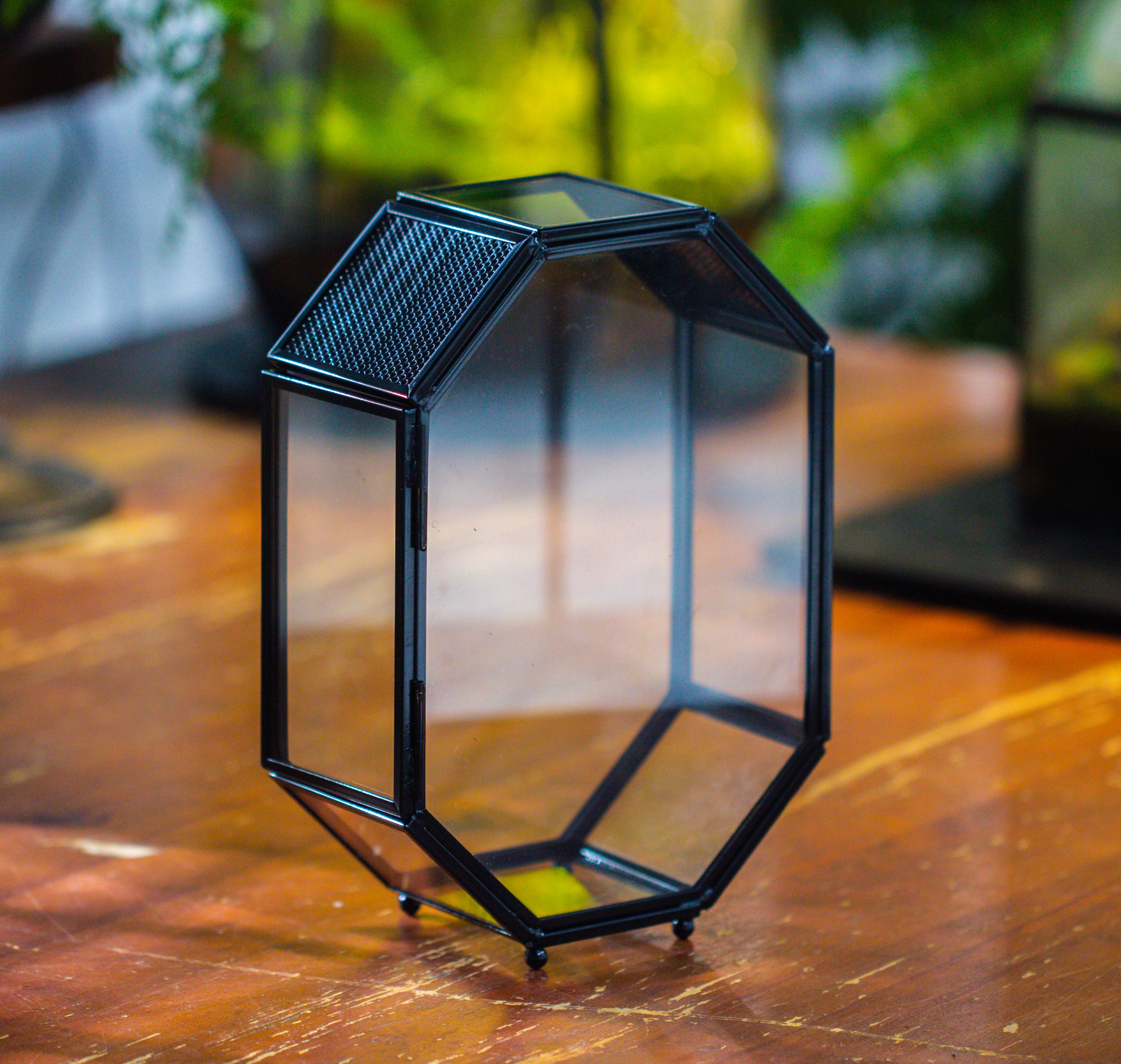 Mini 5x7 inches Octagon Shape Glass Geometric Terrarium Enclosure with Side Vent  for Small Insect, Jumping Spider - NCYPgarden