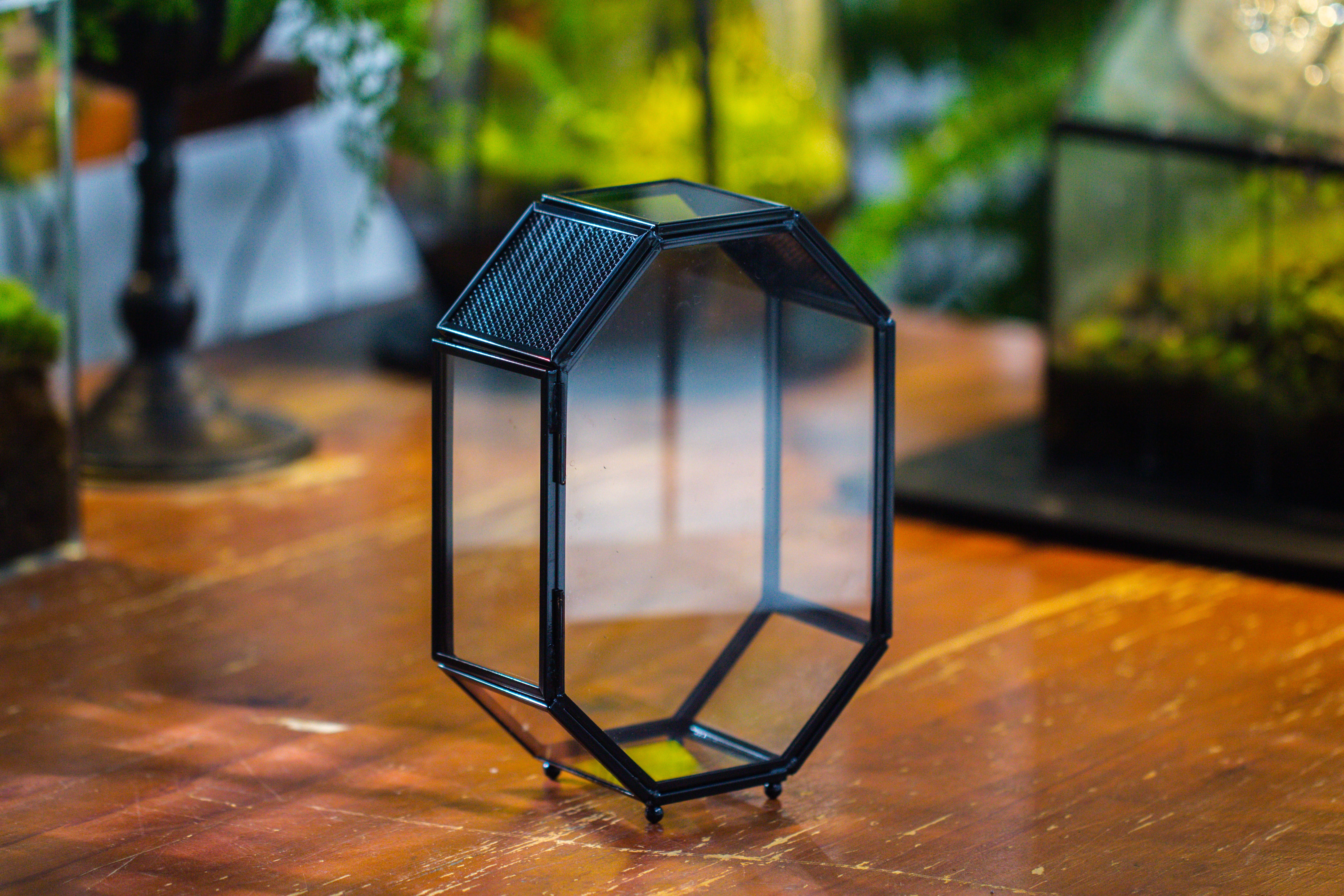 Mini 5x7 inches Octagon Shape Glass Geometric Terrarium Enclosure with Side Vent  for Small Insect, Jumping Spider - NCYPgarden