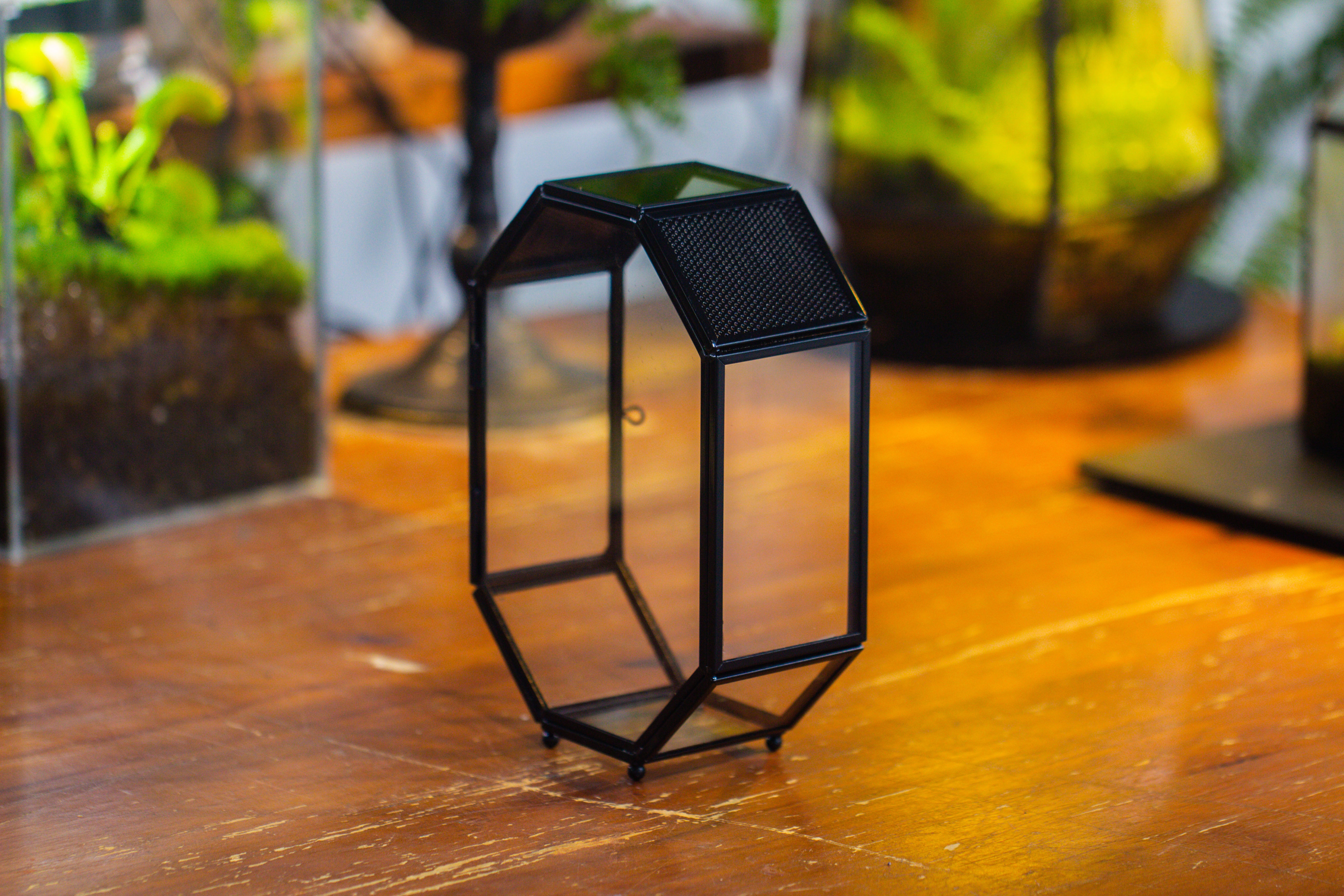 Mini 5x7 inches Octagon Shape Glass Geometric Terrarium Enclosure with Side Vent  for Small Insect, Jumping Spider - NCYPgarden
