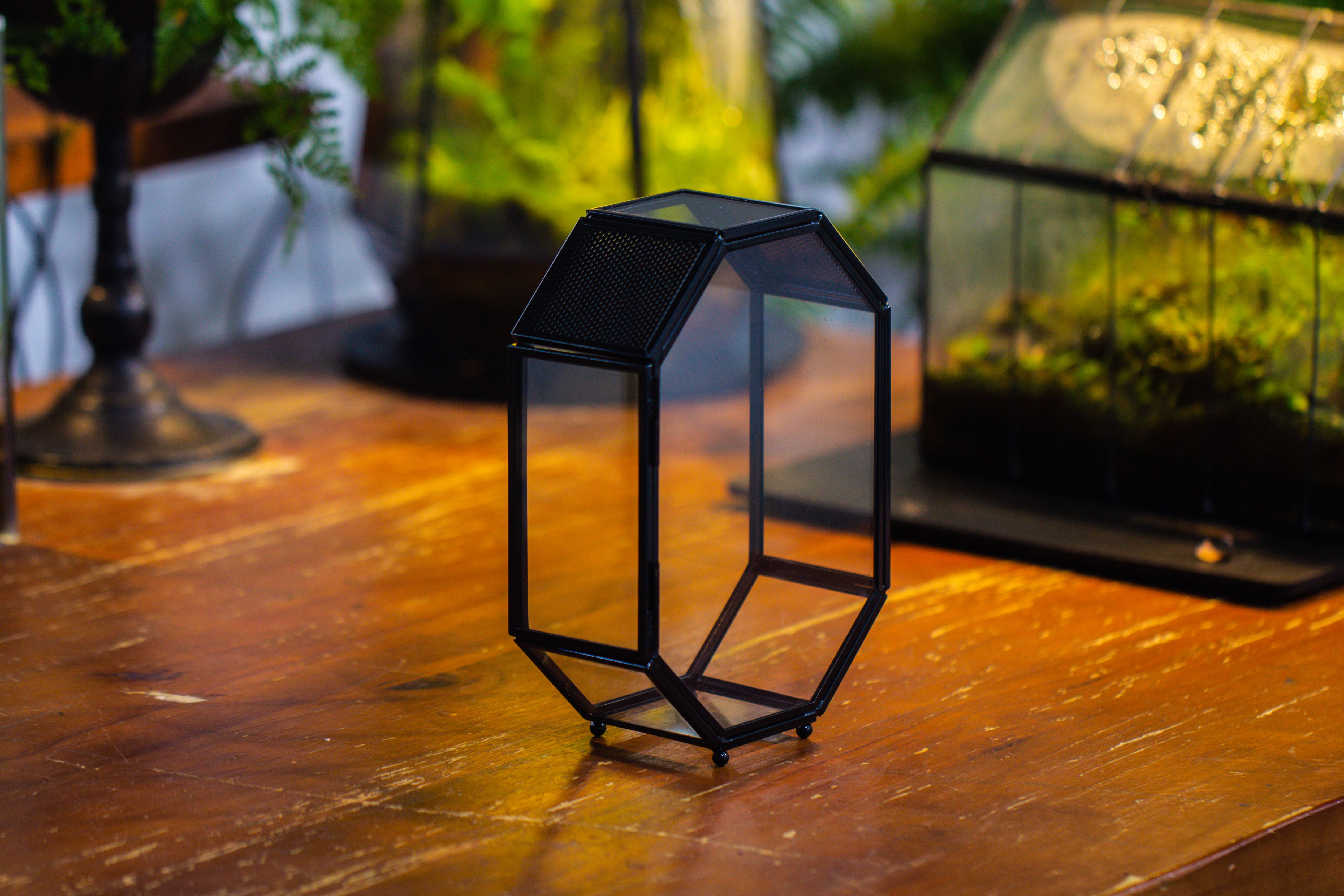 Mini 5x7 inches Octagon Shape Glass Geometric Terrarium Enclosure with Side Vent  for Small Insect, Jumping Spider - NCYPgarden