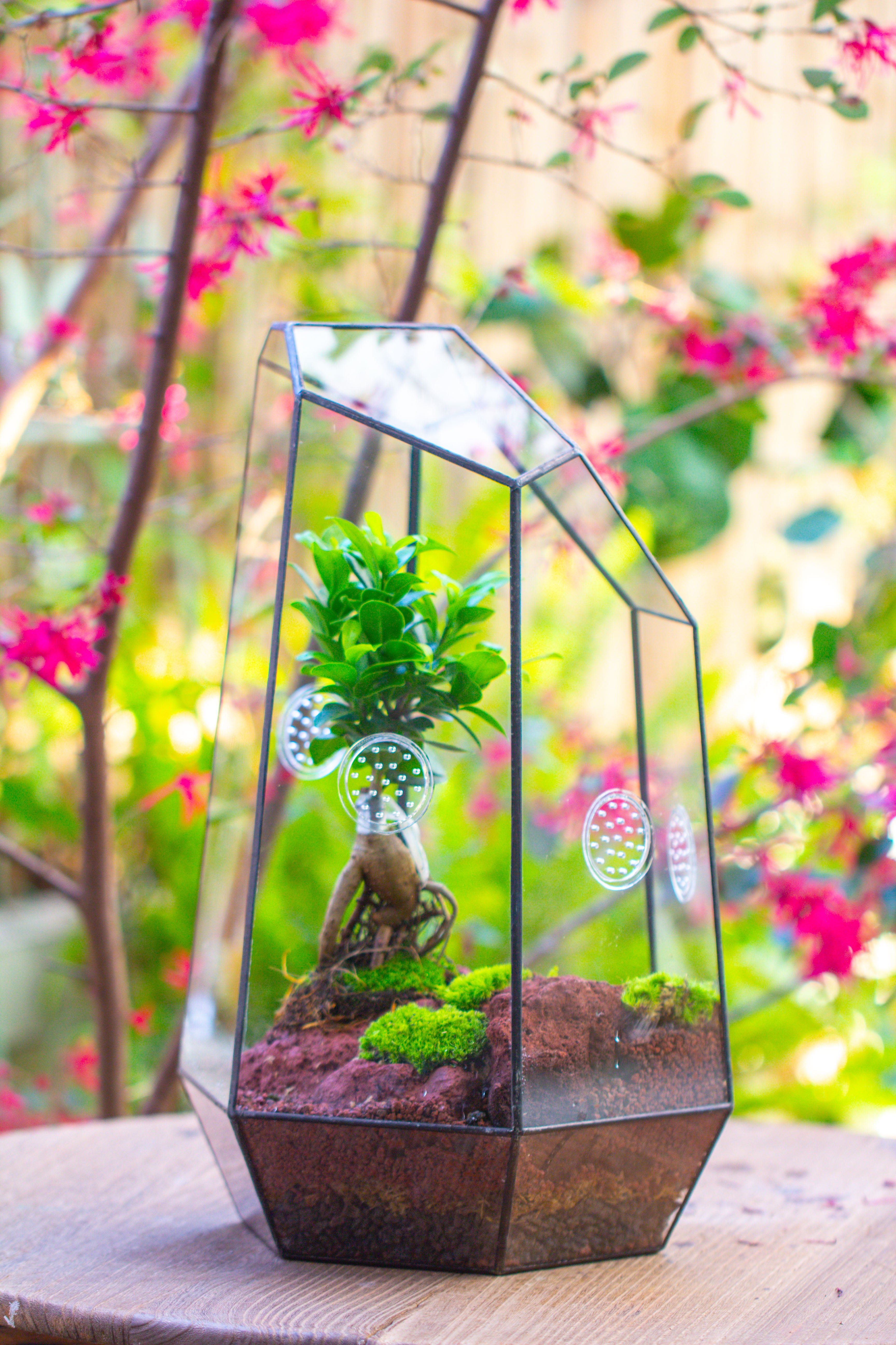 Handmade 41cm / 16" Tall IrregularGlass Geometric Terrarium Box with Vent - NCYPgarden
