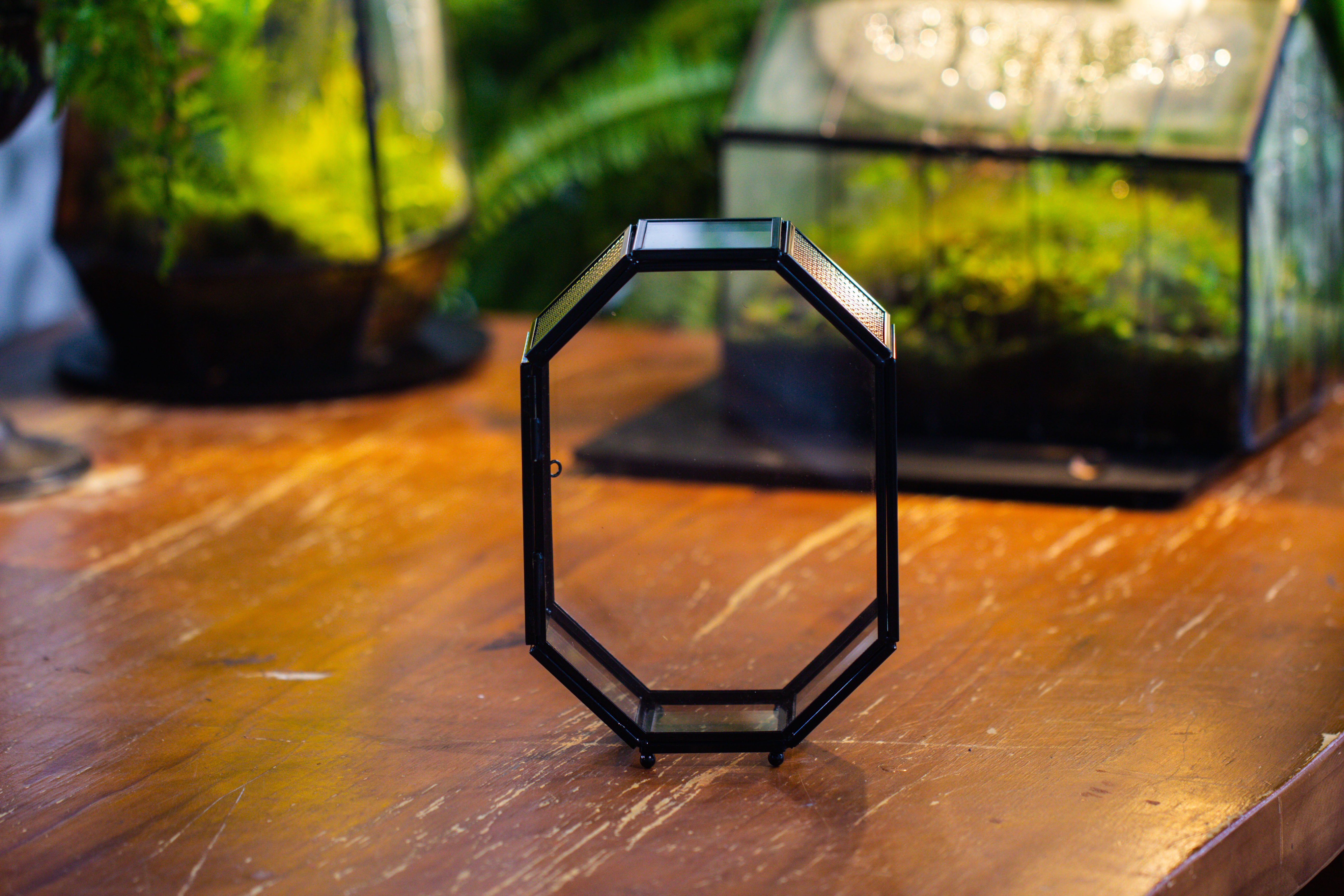 Mini 5x7 inches Octagon Shape Glass Geometric Terrarium Enclosure with Side Vent  for Small Insect, Jumping Spider - NCYPgarden