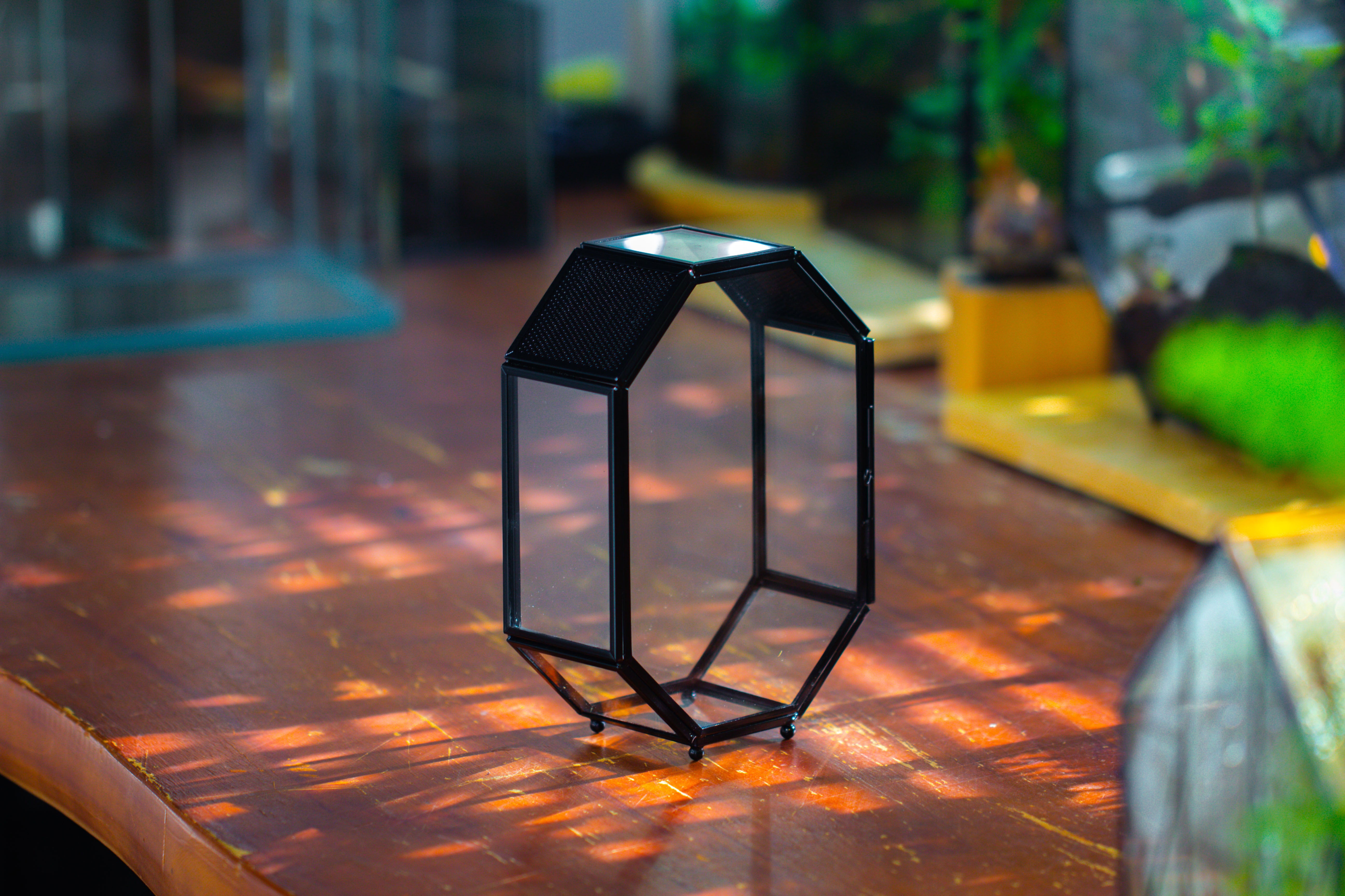 Mini 5x7 inches Octagon Shape Glass Geometric Terrarium Enclosure with Side Vent  for Small Insect, Jumping Spider - NCYPgarden