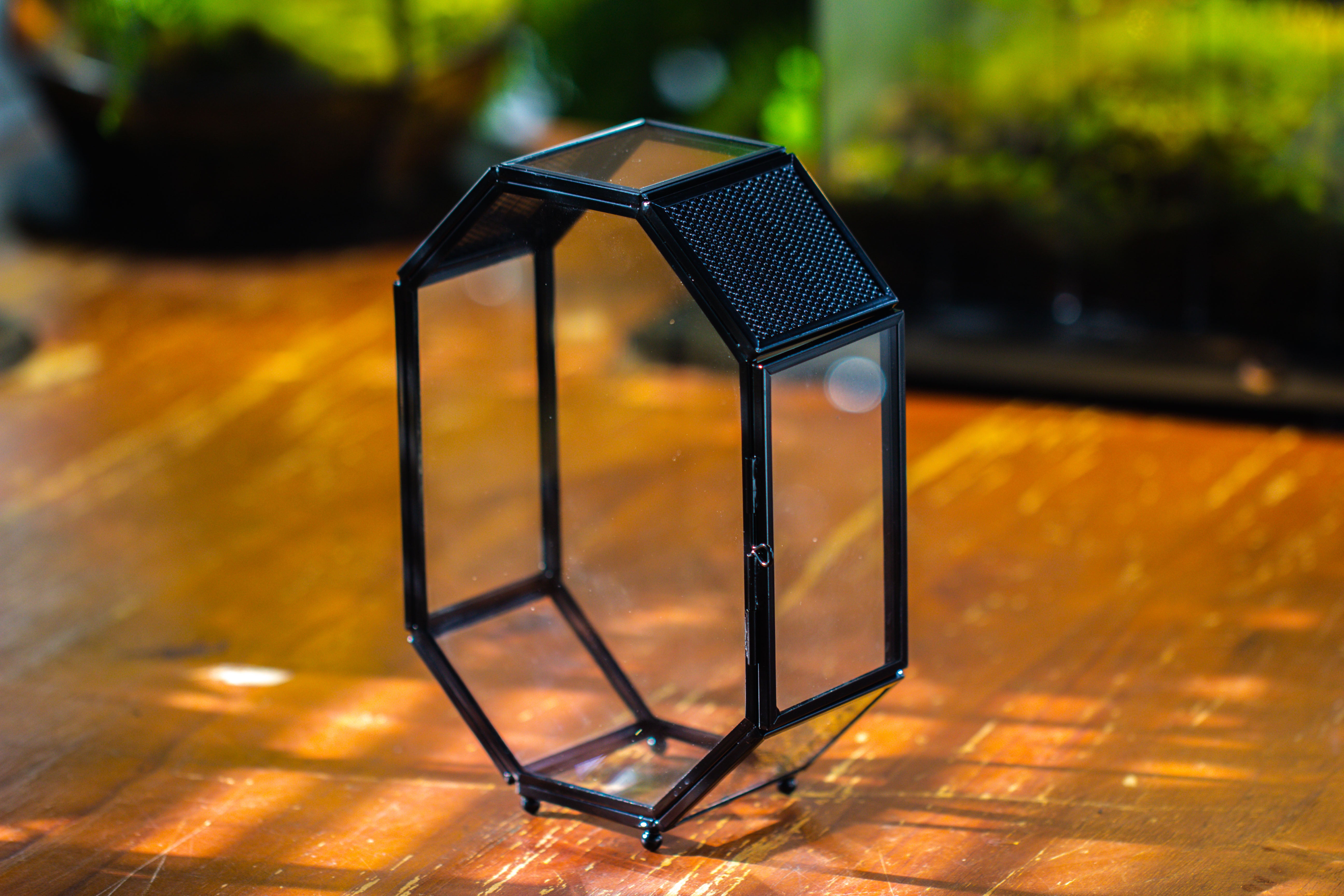 Mini 5x7 inches Octagon Shape Glass Geometric Terrarium Enclosure with Side Vent  for Small Insect, Jumping Spider - NCYPgarden