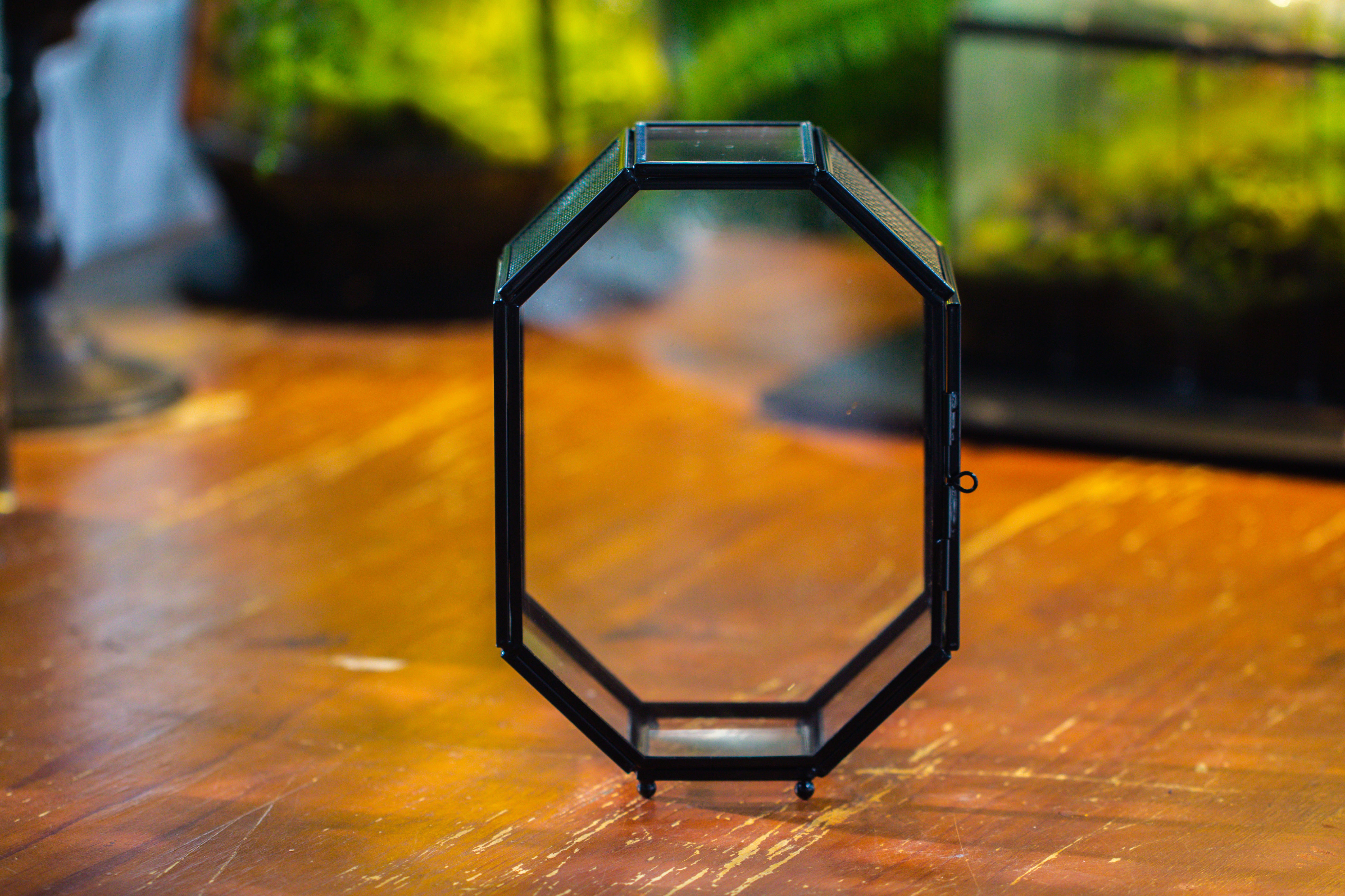 Mini 5x7 inches Octagon Shape Glass Geometric Terrarium Enclosure with Side Vent  for Small Insect, Jumping Spider - NCYPgarden
