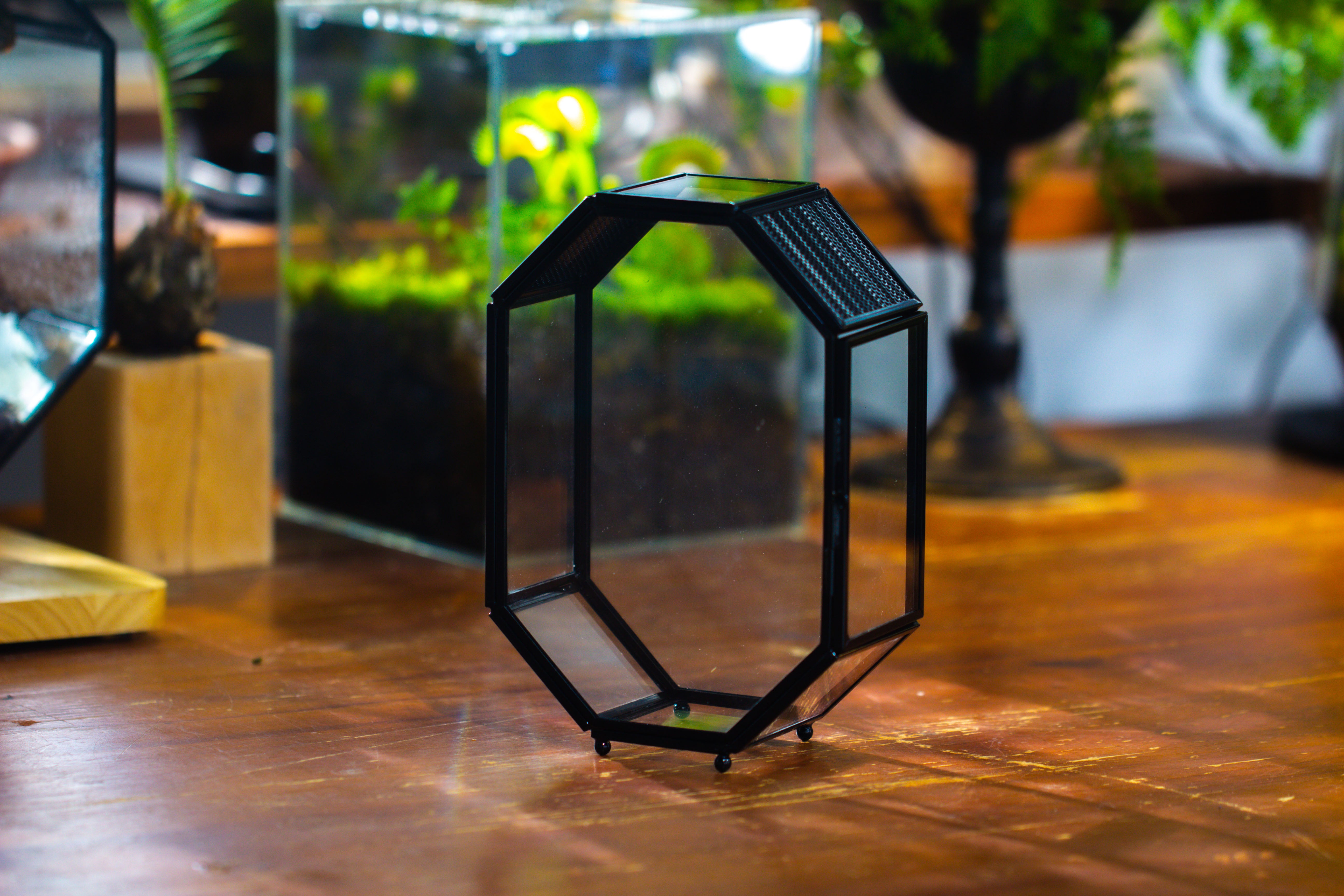 Mini 5x7 inches Octagon Shape Glass Geometric Terrarium Enclosure with Side Vent  for Small Insect, Jumping Spider - NCYPgarden