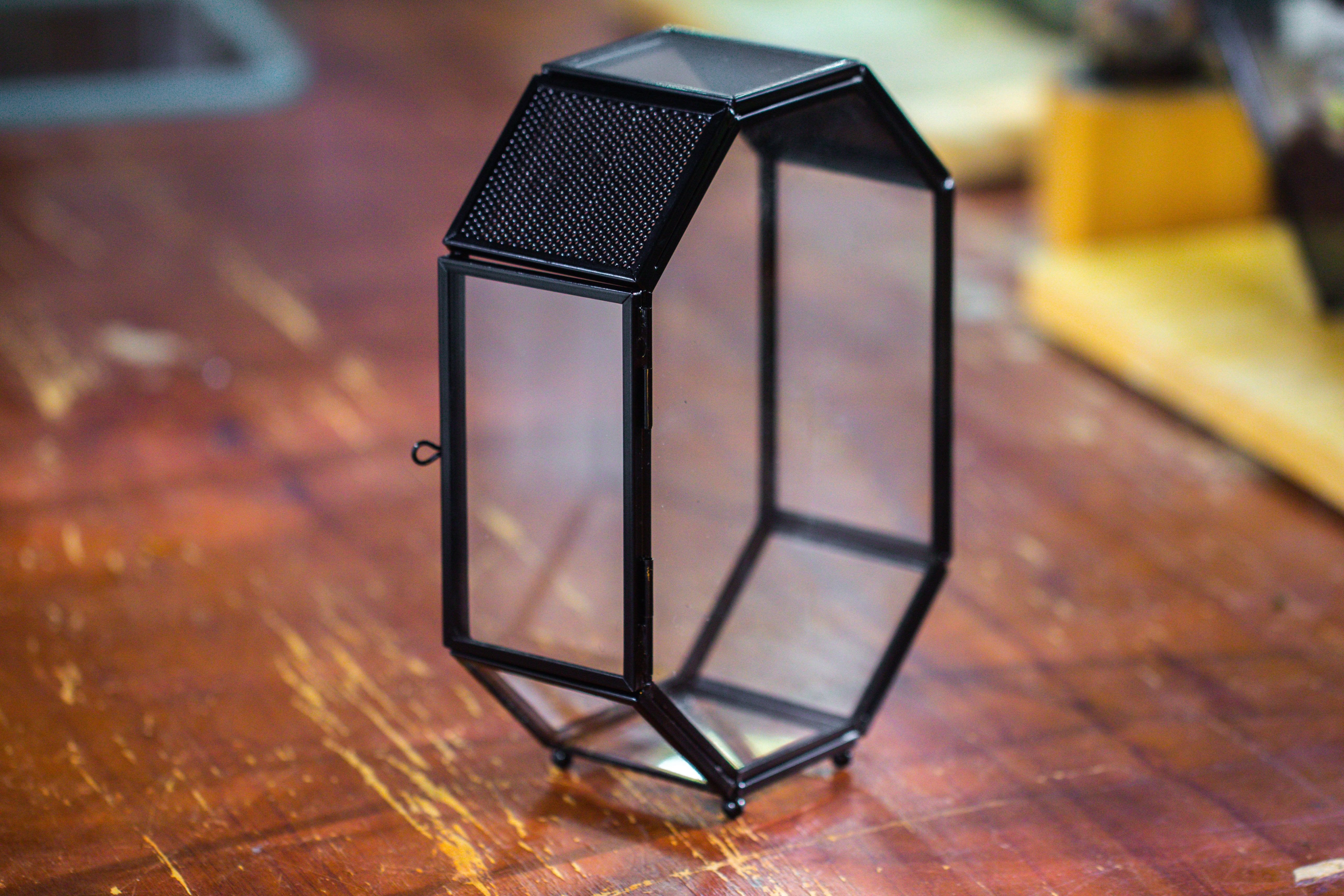 Mini 5x7 inches Octagon Shape Glass Geometric Terrarium Enclosure with Side Vent  for Small Insect, Jumping Spider - NCYPgarden