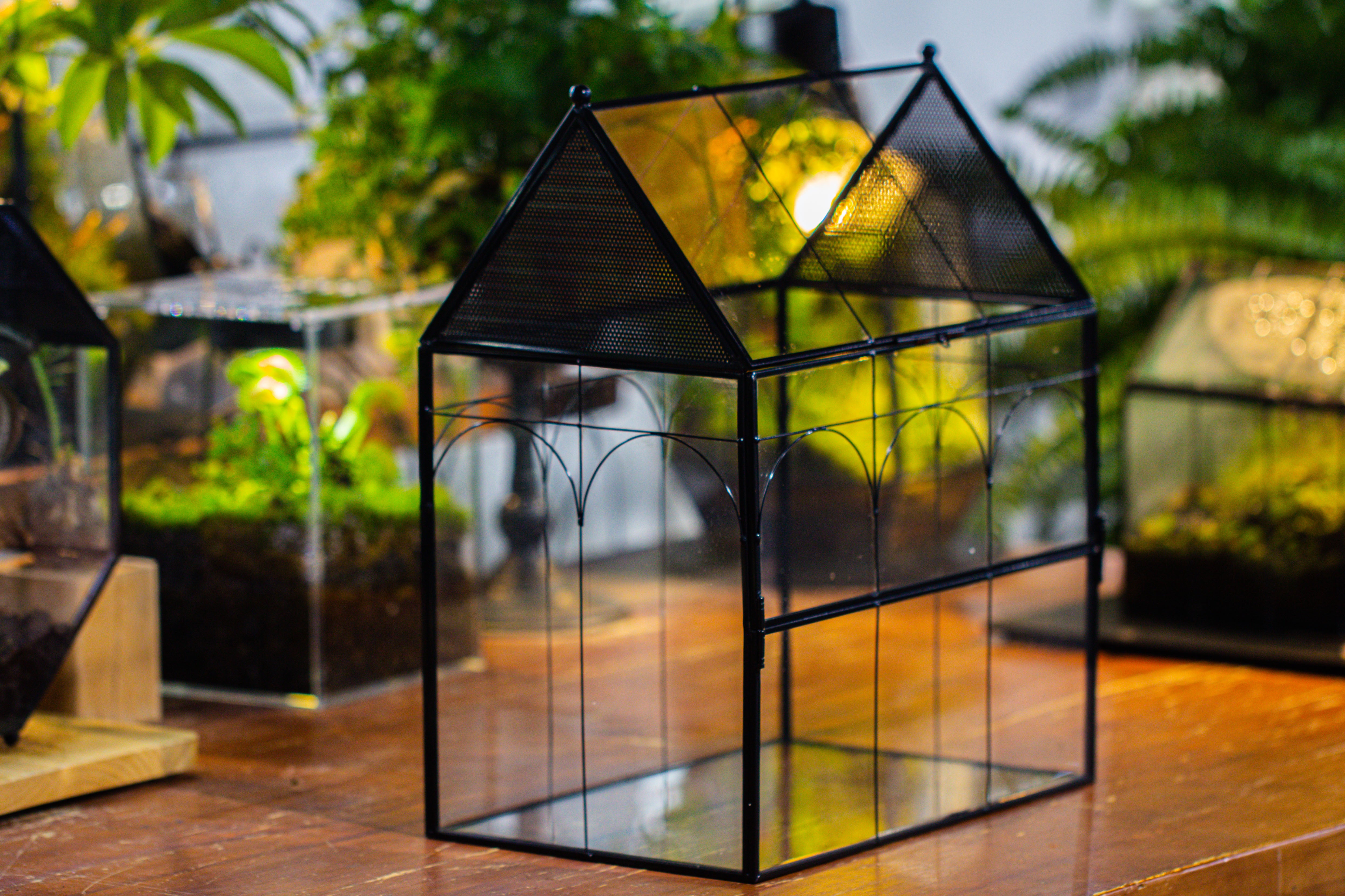Large Vintage House Shape Insect Terrarium with Vent for Tarantulas, Mantis, Stick Insects -13" - NCYPgarden