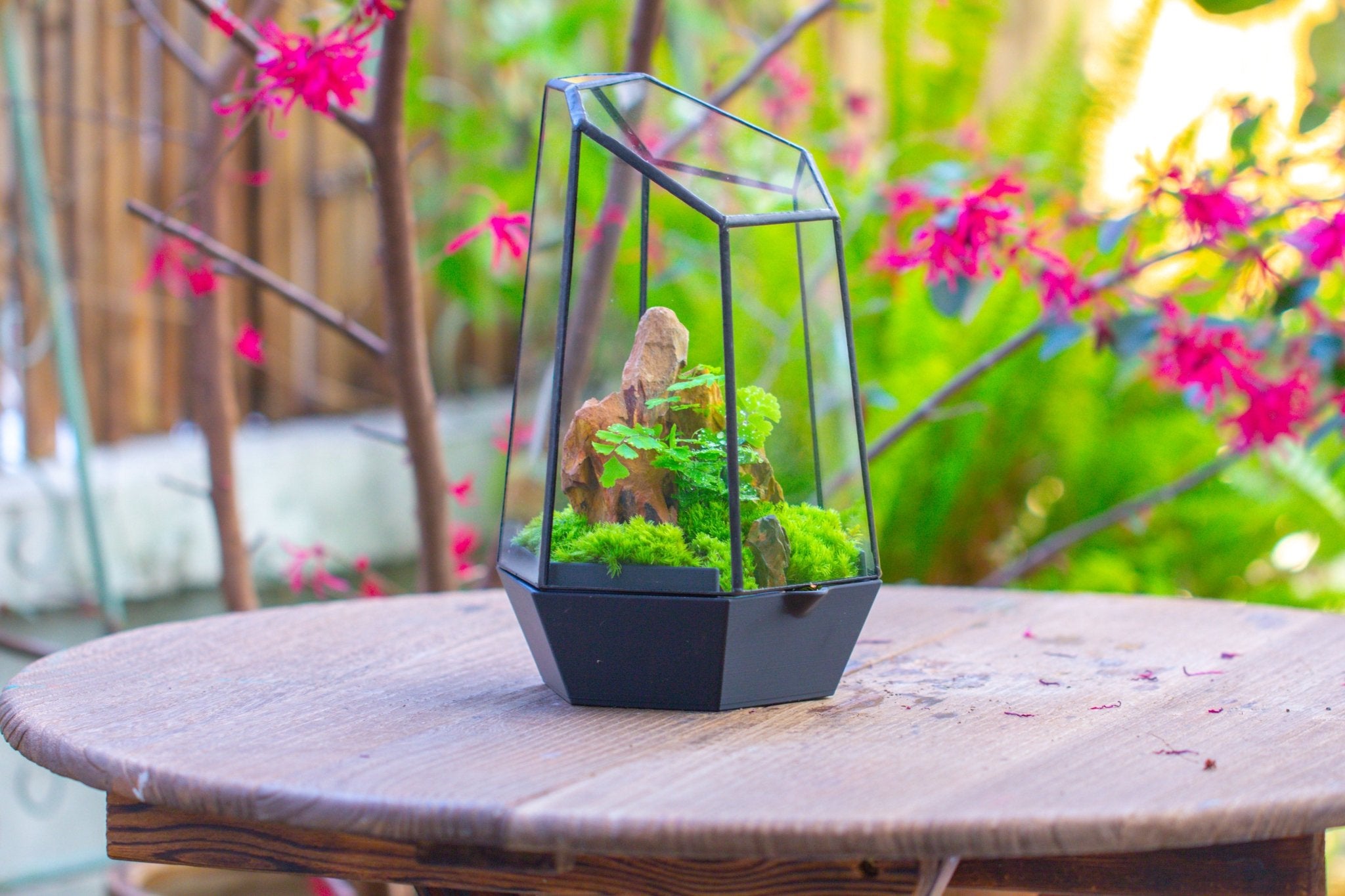 Self - Contained Close Terrarium with Waterproof Base, Geometric Glass Cover for Moss, Sundew and Venus Flytrap PG01J3 - NCYPgarden