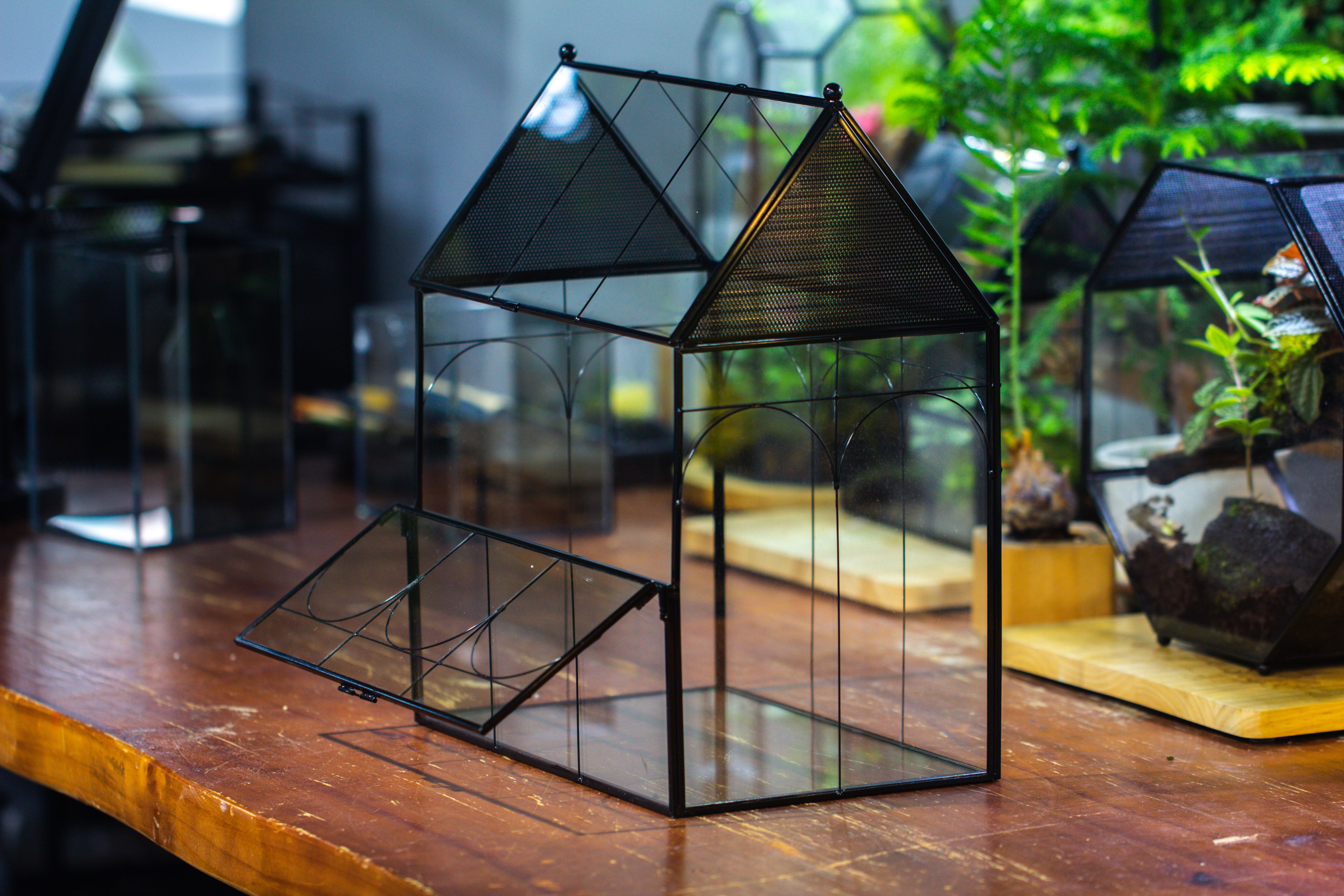 Large Vintage House Shape Insect Terrarium with Vent for Tarantulas, Mantis, Stick Insects -13" - NCYPgarden