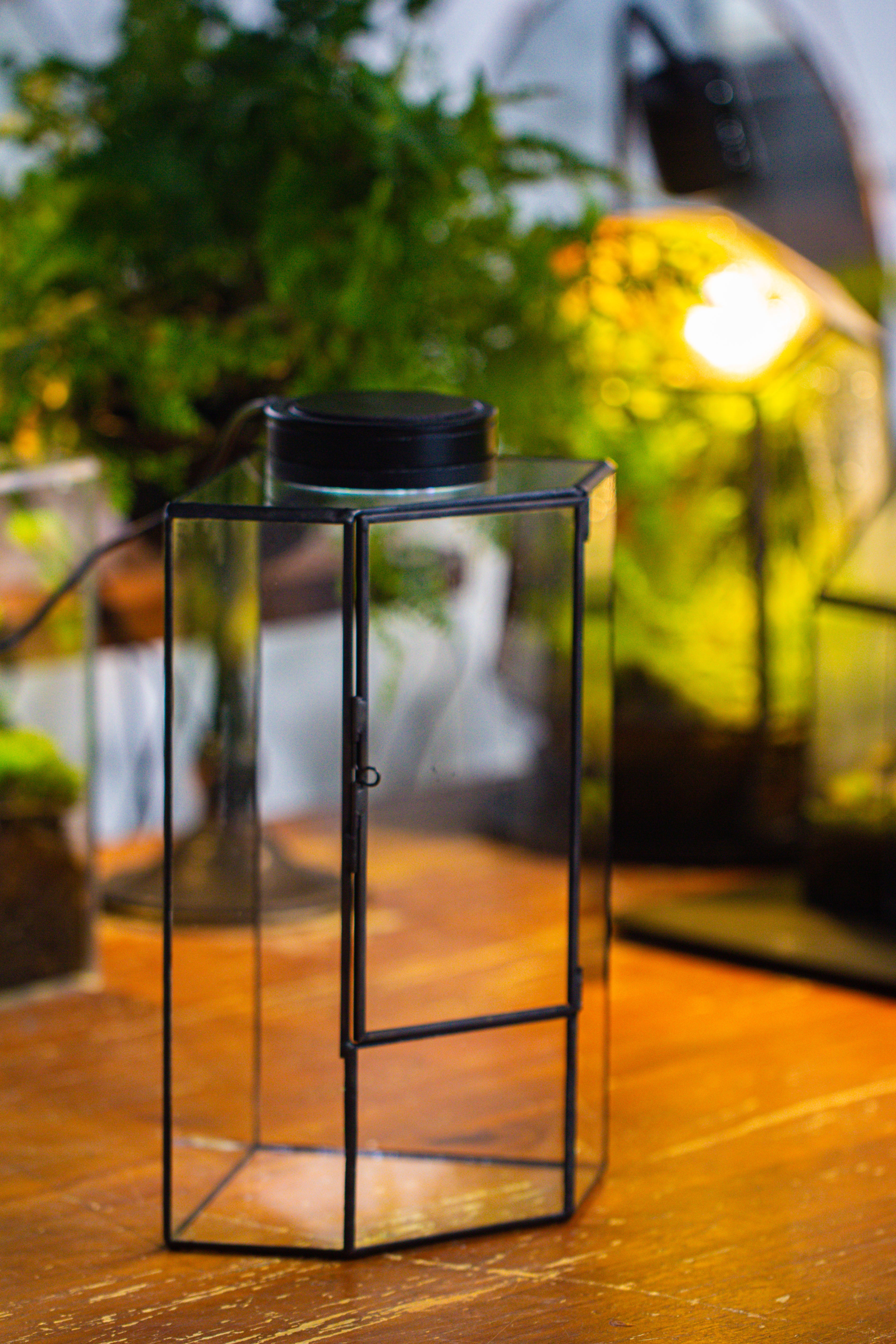 Small Version Handmade Glass Terrarium with Door for Plant, Moss Wall, Closed Geometric Tin Pentagon Planter - NCYPgarden