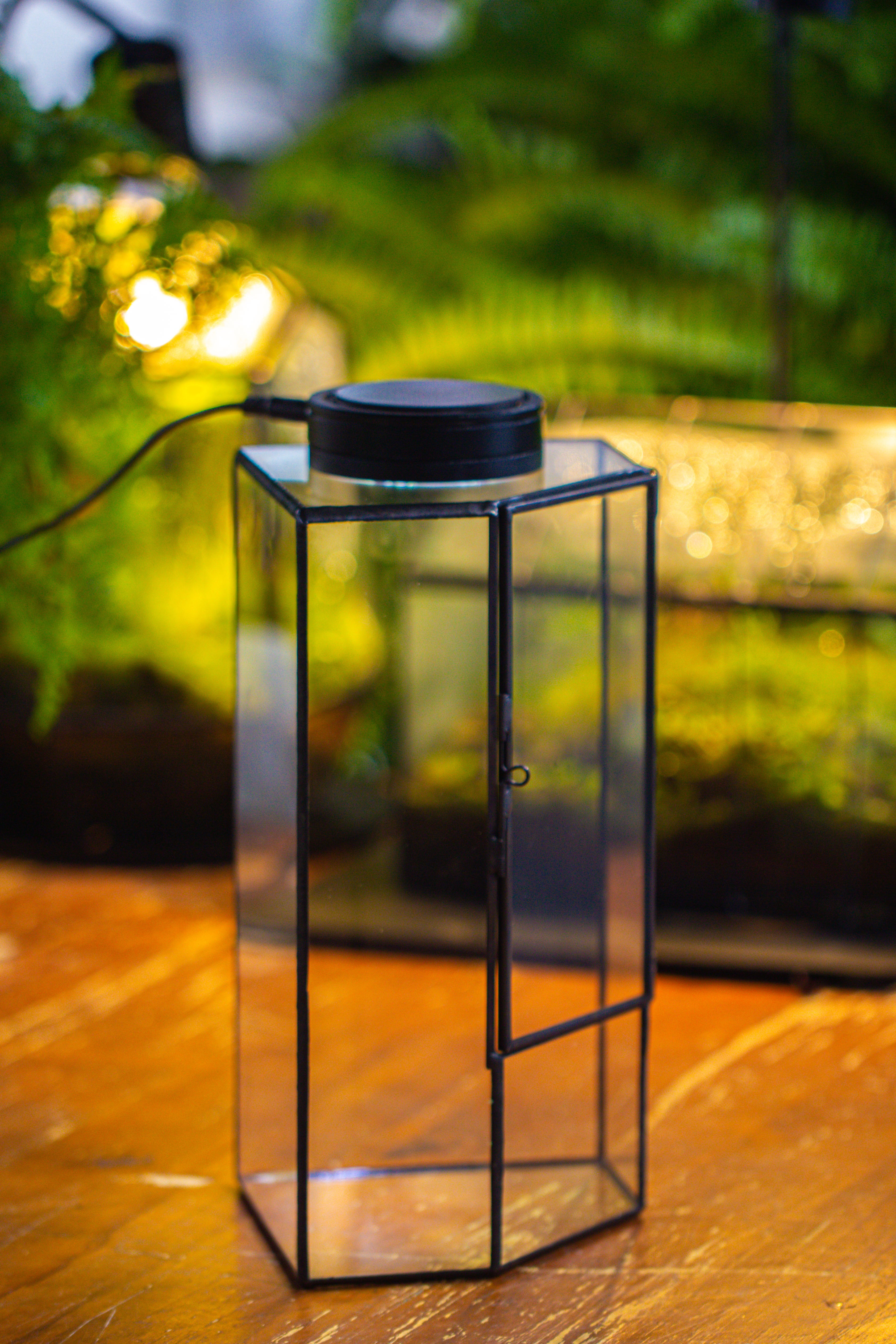 Small Version Handmade Glass Terrarium with Door for Plant, Moss Wall, Closed Geometric Tin Pentagon Planter - NCYPgarden