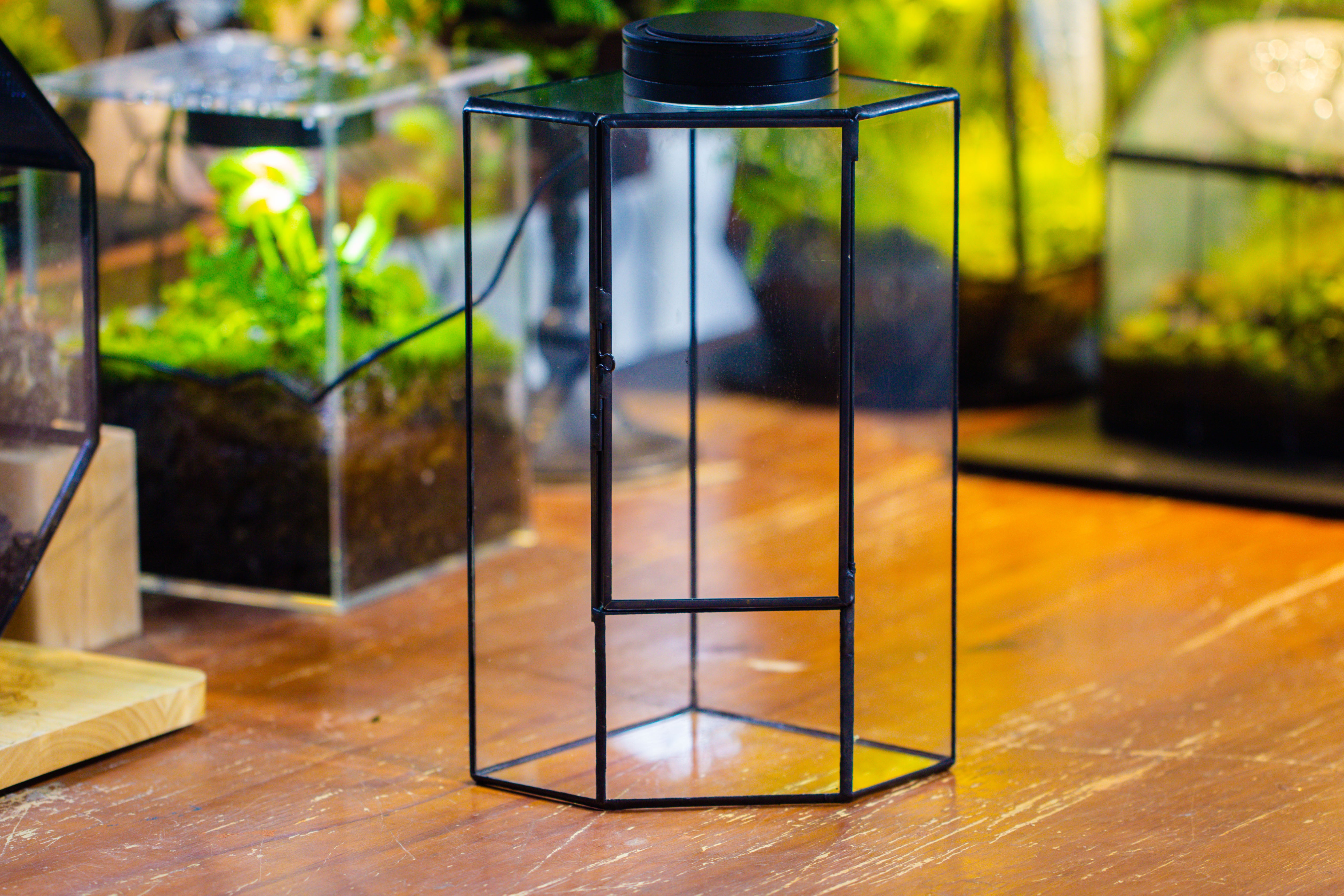 Small Version Handmade Glass Terrarium with Door for Plant, Moss Wall, Closed Geometric Tin Pentagon Planter - NCYPgarden