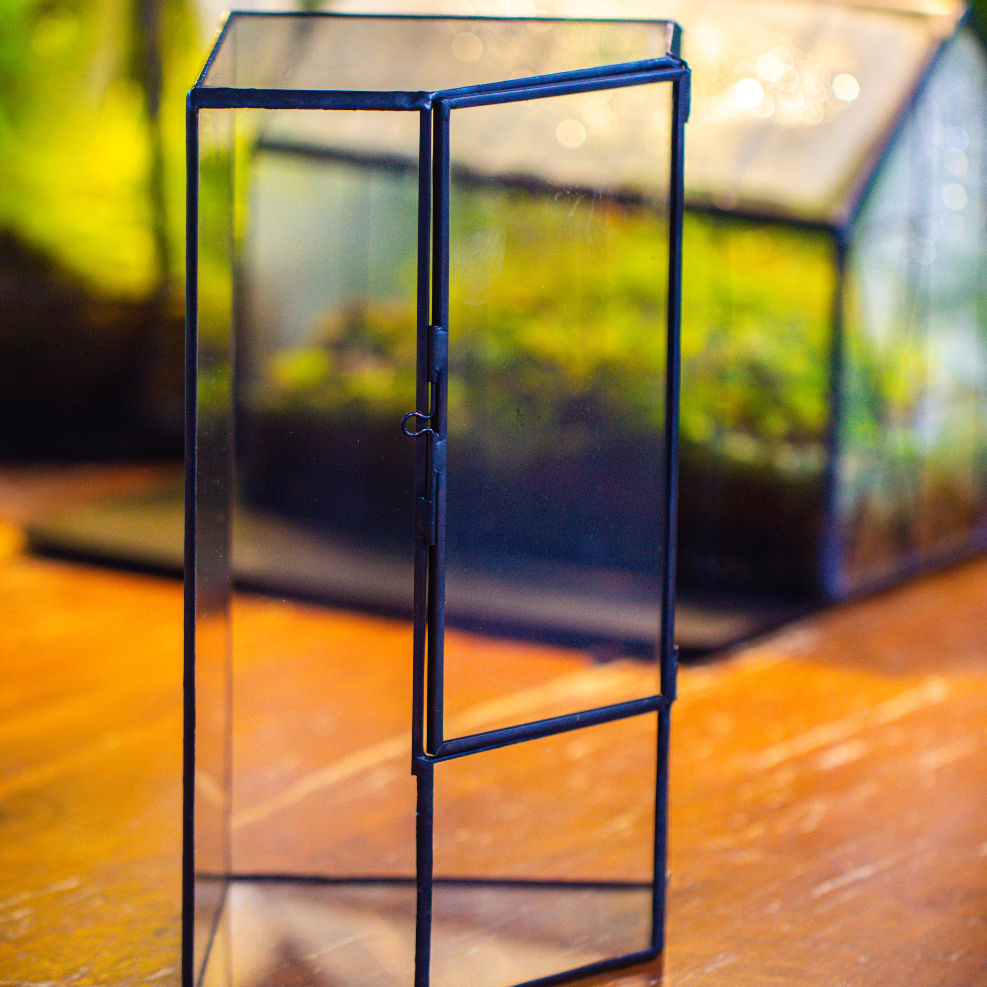 Small Version Handmade Glass Terrarium with Door for Plant, Moss Wall, Closed Geometric Tin Pentagon Planter - NCYPgarden