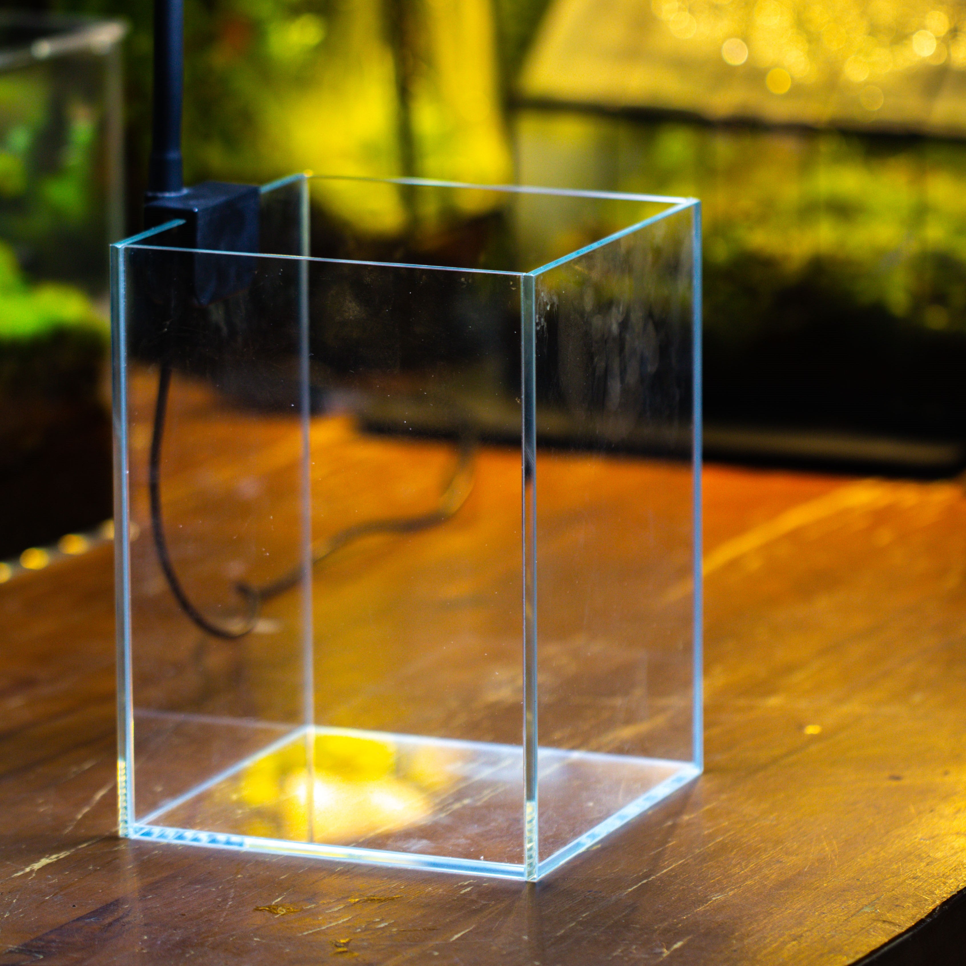 Watertight Glass Tank with LED Grow Light, Acrylic Lid, DIY Terrarium Kit-15x11x13cm / 5.9x4.3x5.1'' - NCYPgarden