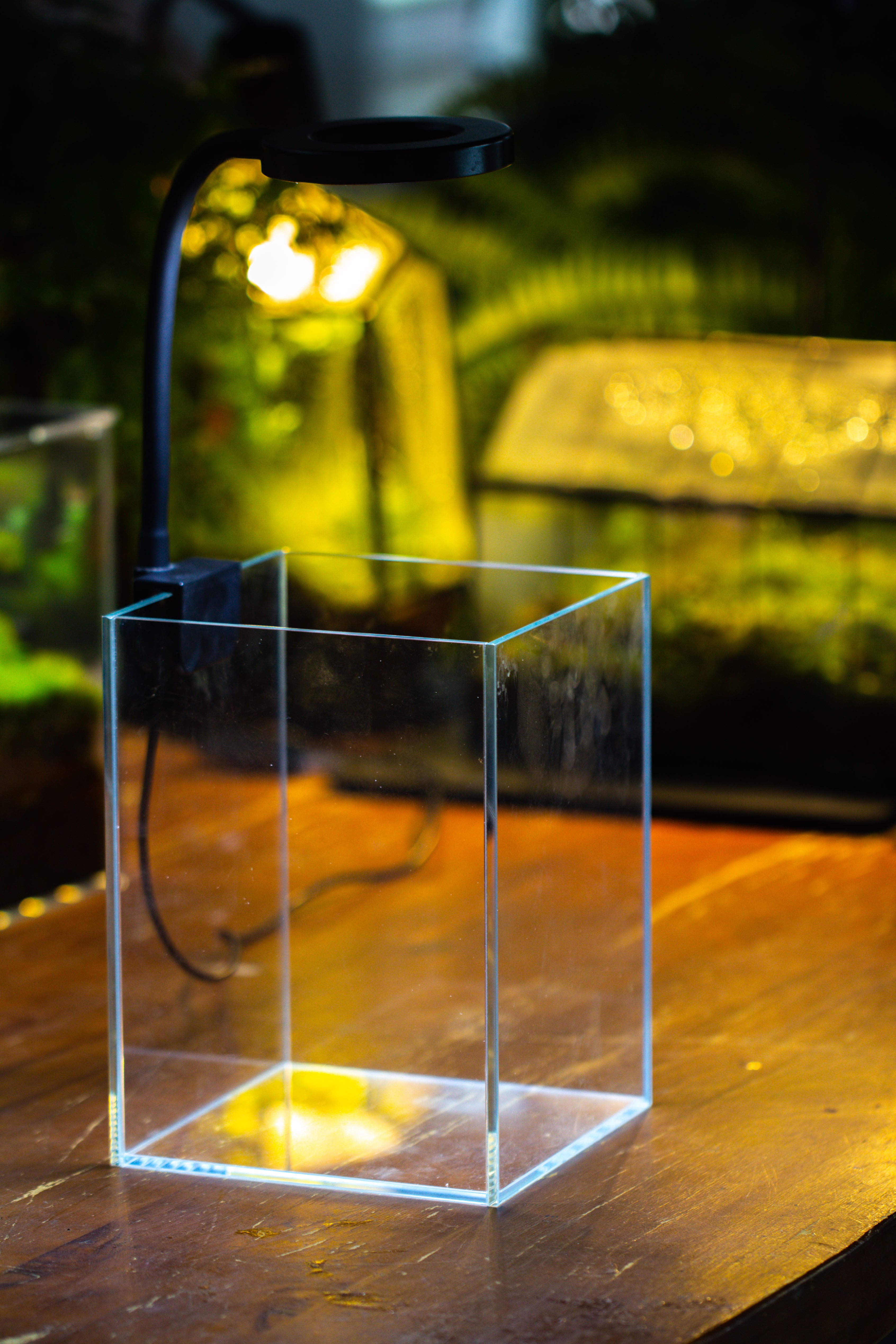 Watertight Glass Tank with LED Grow Light, Acrylic Lid, DIY Terrarium Kit-15x11x13cm / 5.9x4.3x5.1'' - NCYPgarden