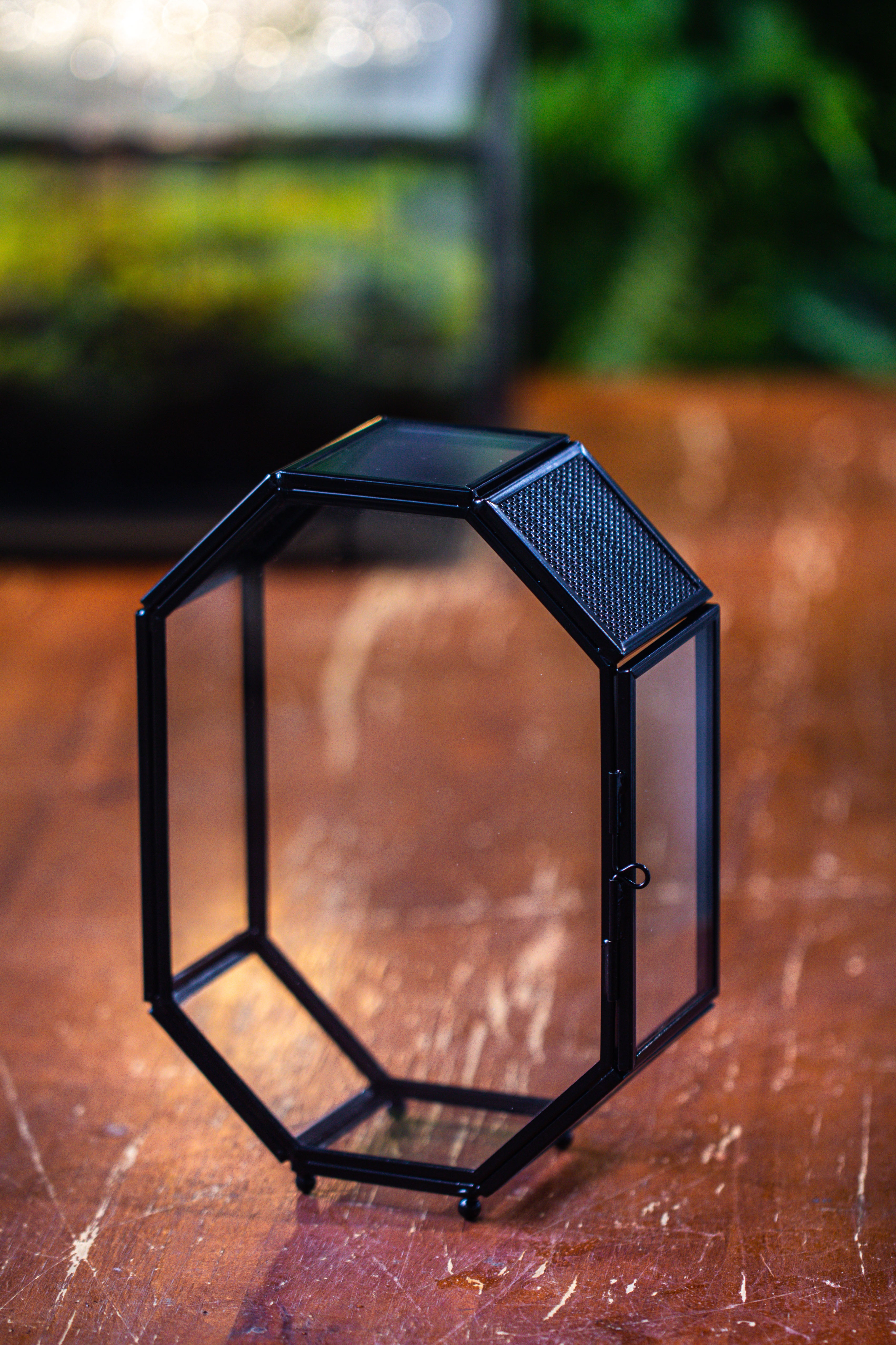 Mini 5x7 inches Octagon Shape Glass Geometric Terrarium Enclosure with Side Vent  for Small Insect, Jumping Spider - NCYPgarden
