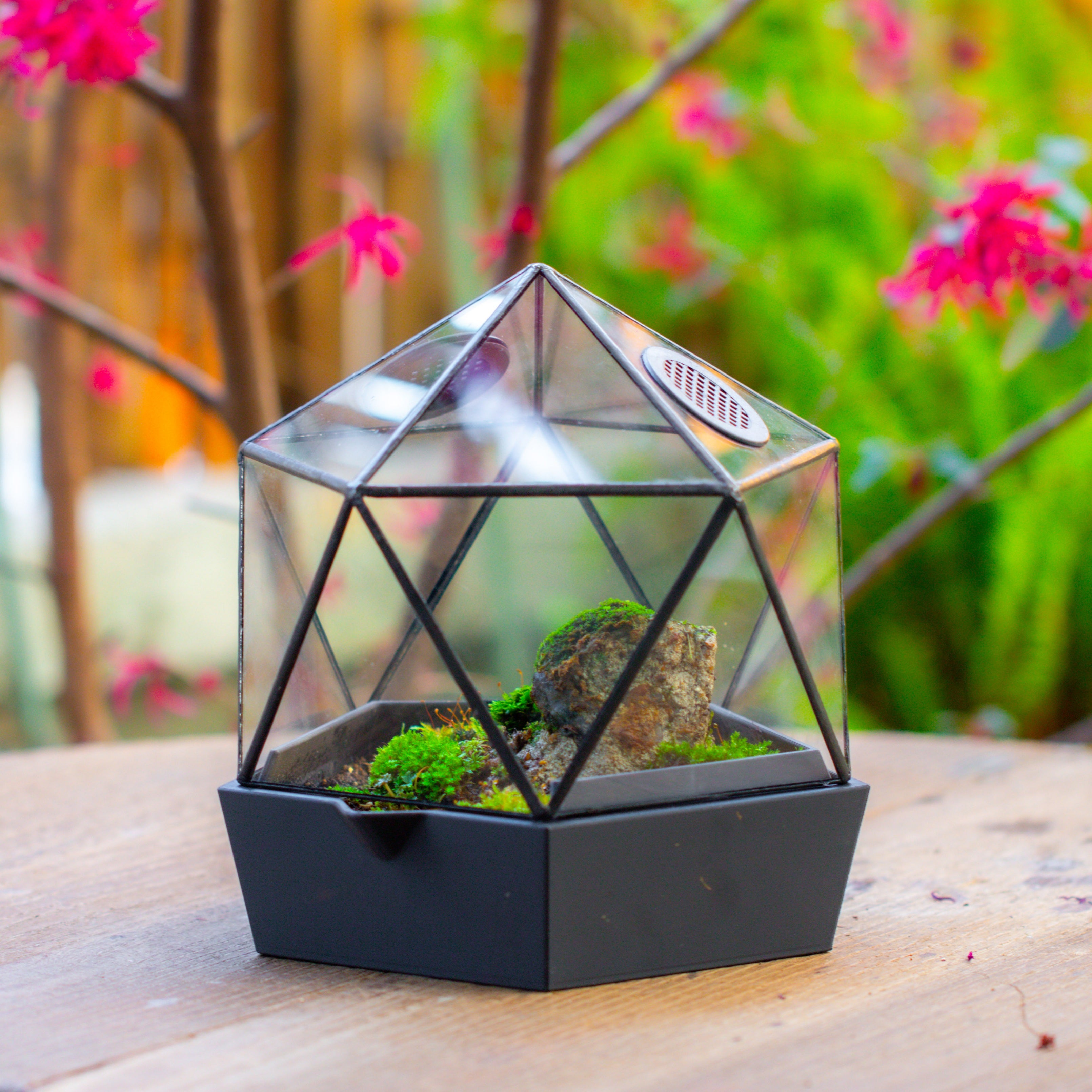Yurt Dome  Geometric Glass Terrarium, Vented, Two-part,  for Mosy Stone - NCYPgarden