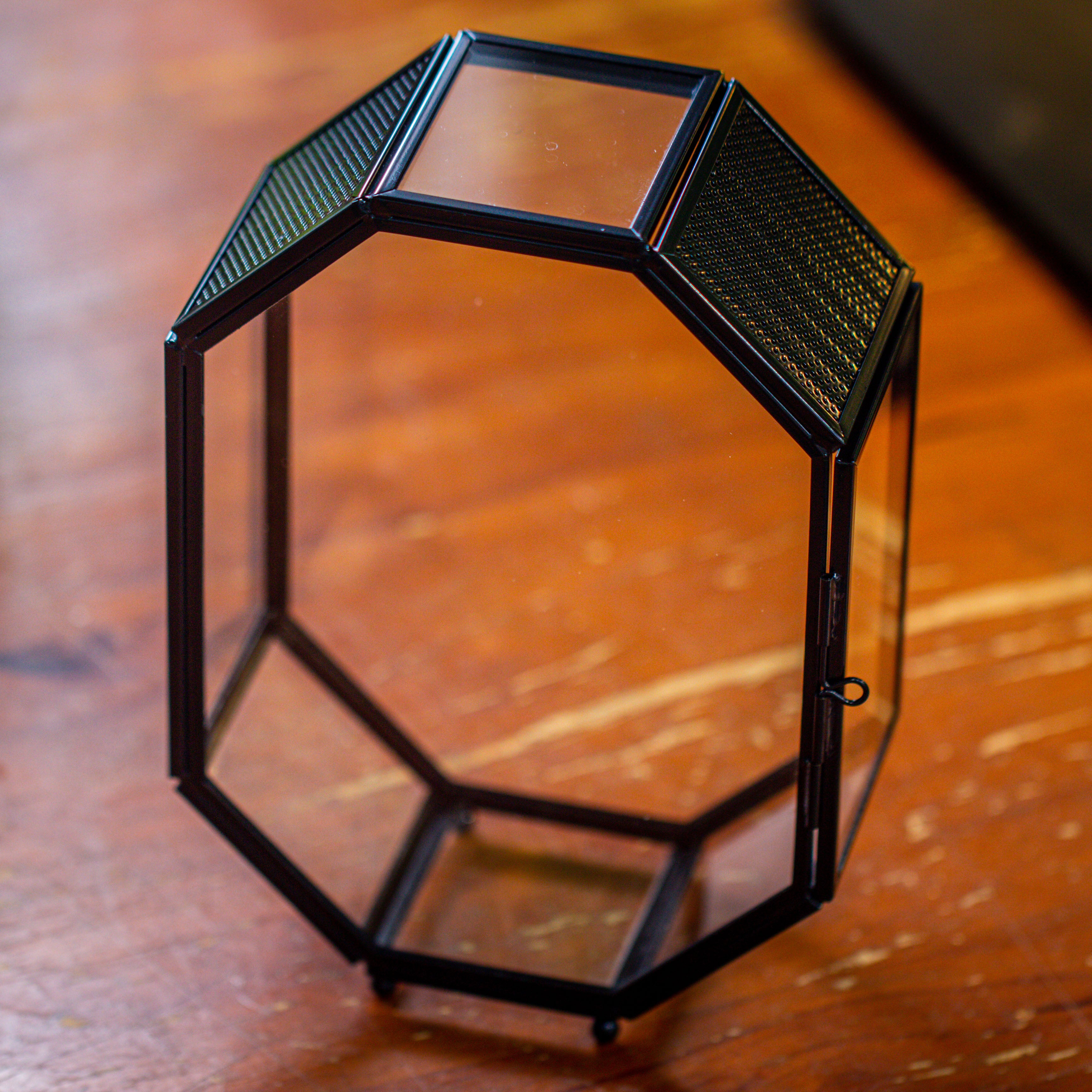 Mini 5x7 inches Octagon Shape Glass Geometric Terrarium Enclosure with Side Vent  for Small Insect, Jumping Spider - NCYPgarden