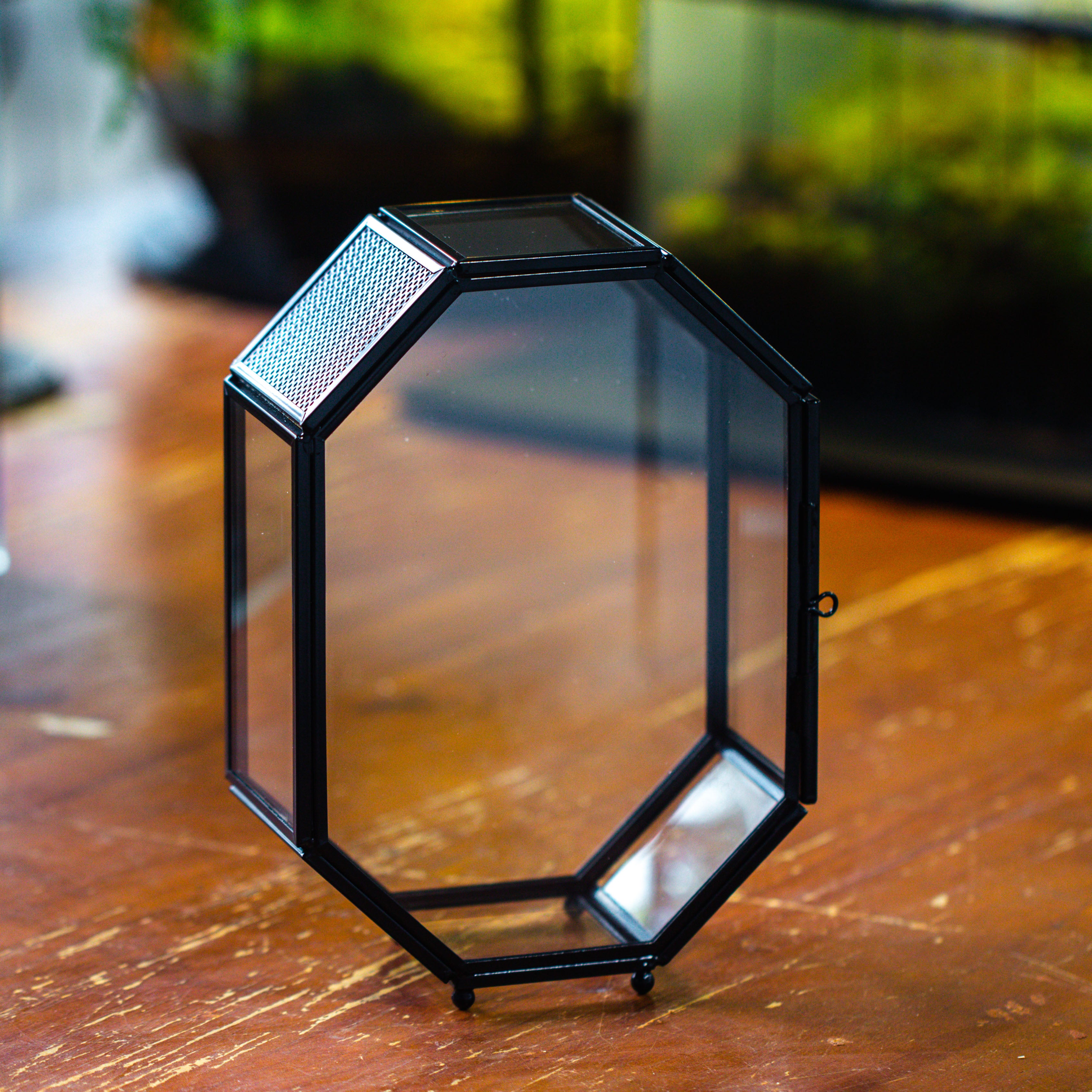 Mini 5x7 inches Octagon Shape Glass Geometric Terrarium Enclosure with Side Vent  for Small Insect, Jumping Spider - NCYPgarden